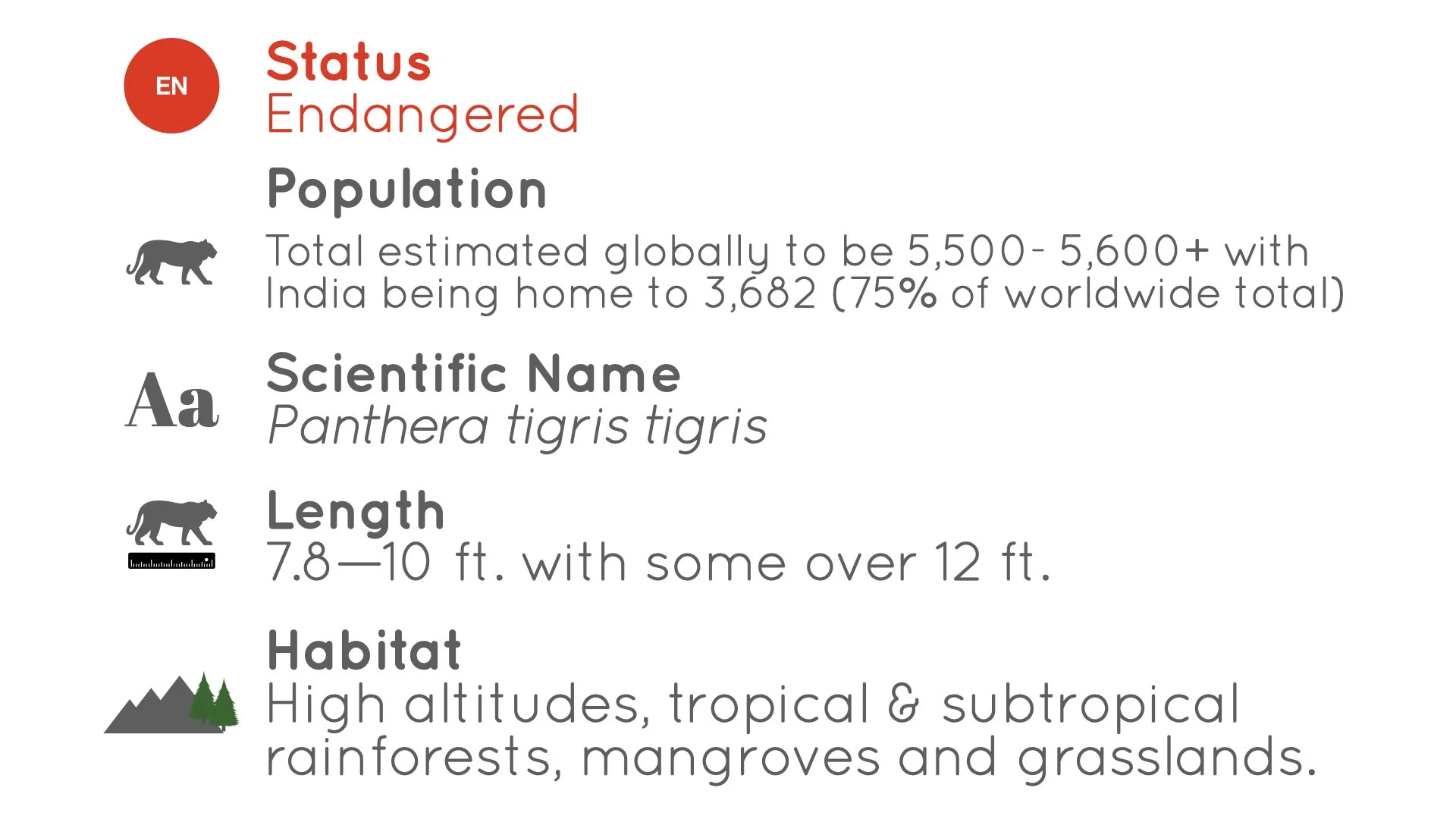 Tiger 2026 - Statistics - WildArtWorks
