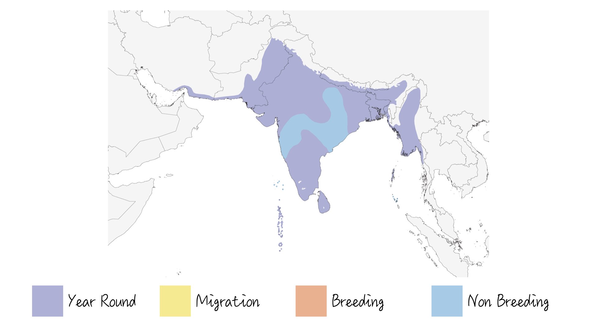 Indian Pond Heron - Range & Distribution - WildArtWorks