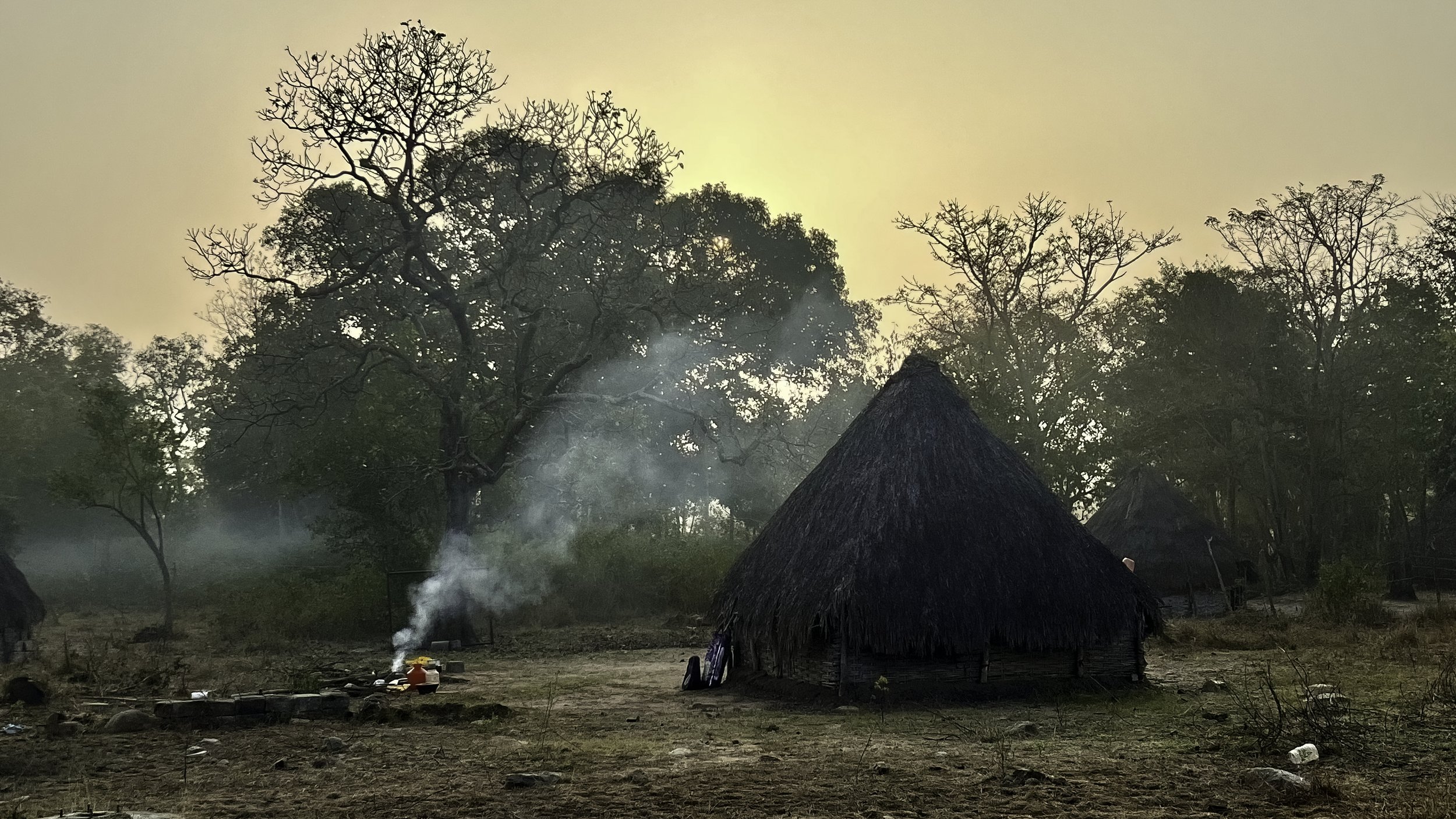 Rayaletipenta, Chenchu Hamlet - Amrabad Tiger Reserve - WildArtWorks