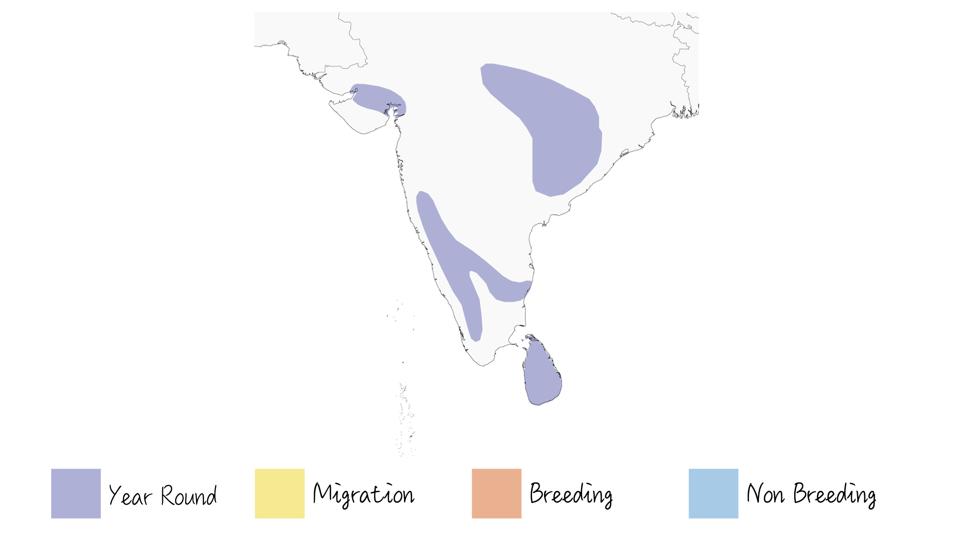 Tri-coloured Munia - Range & Distribution - WIldArtWorks