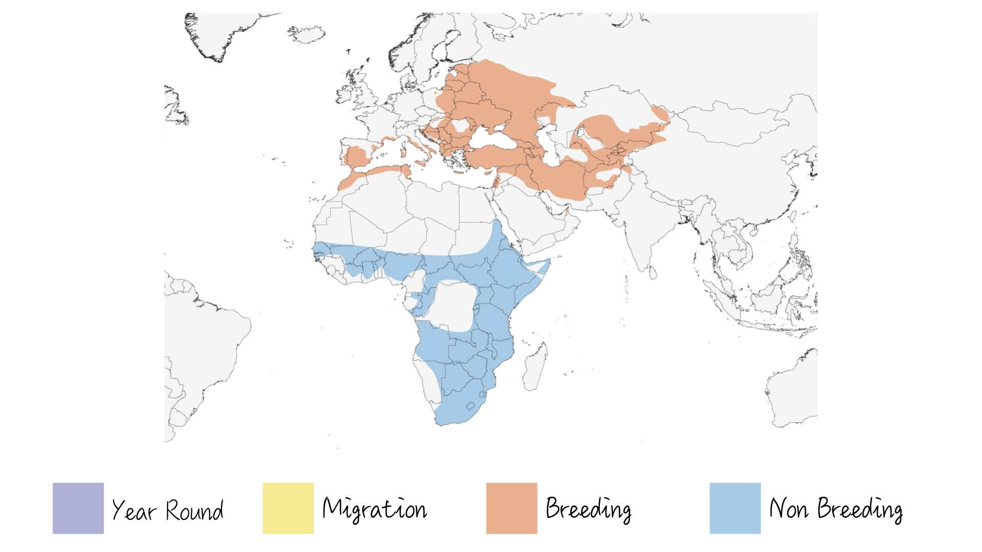European Roller - Range & Distribution - WildArtWorks