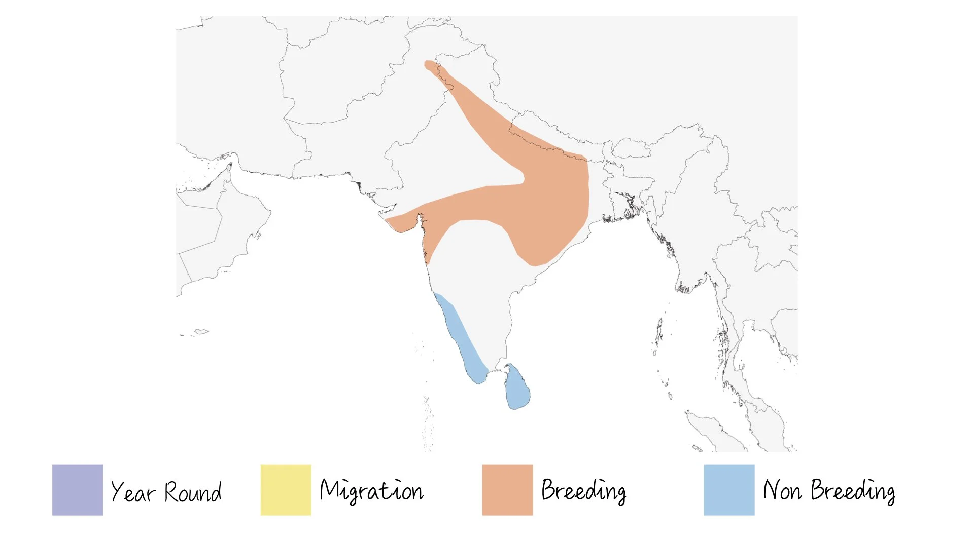 Indian Pitta - Range & Distribution - WildArtWorks