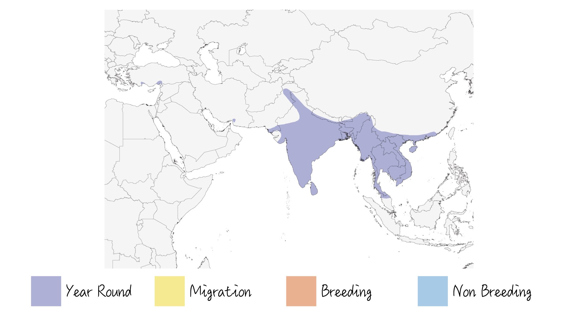 Brown Fish Owl - Range & Distribution - WildArtWorks