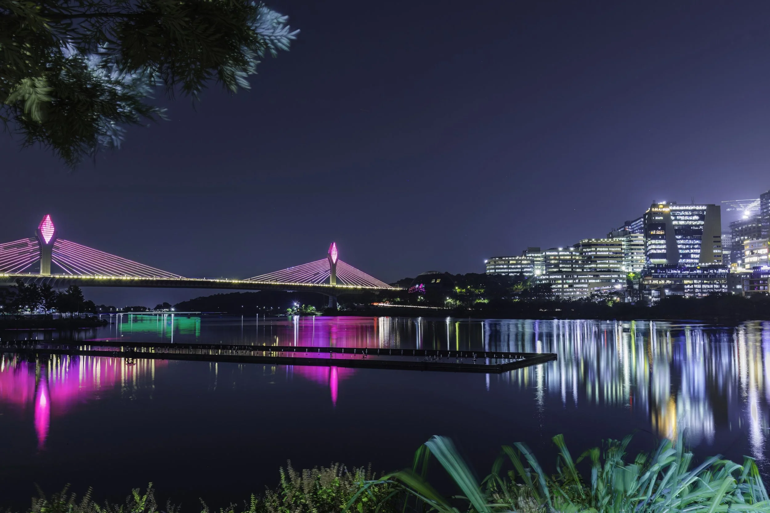 Durgam Cheruvu Cable-Stayed Bridge - Hyderabad - WildArtWorks