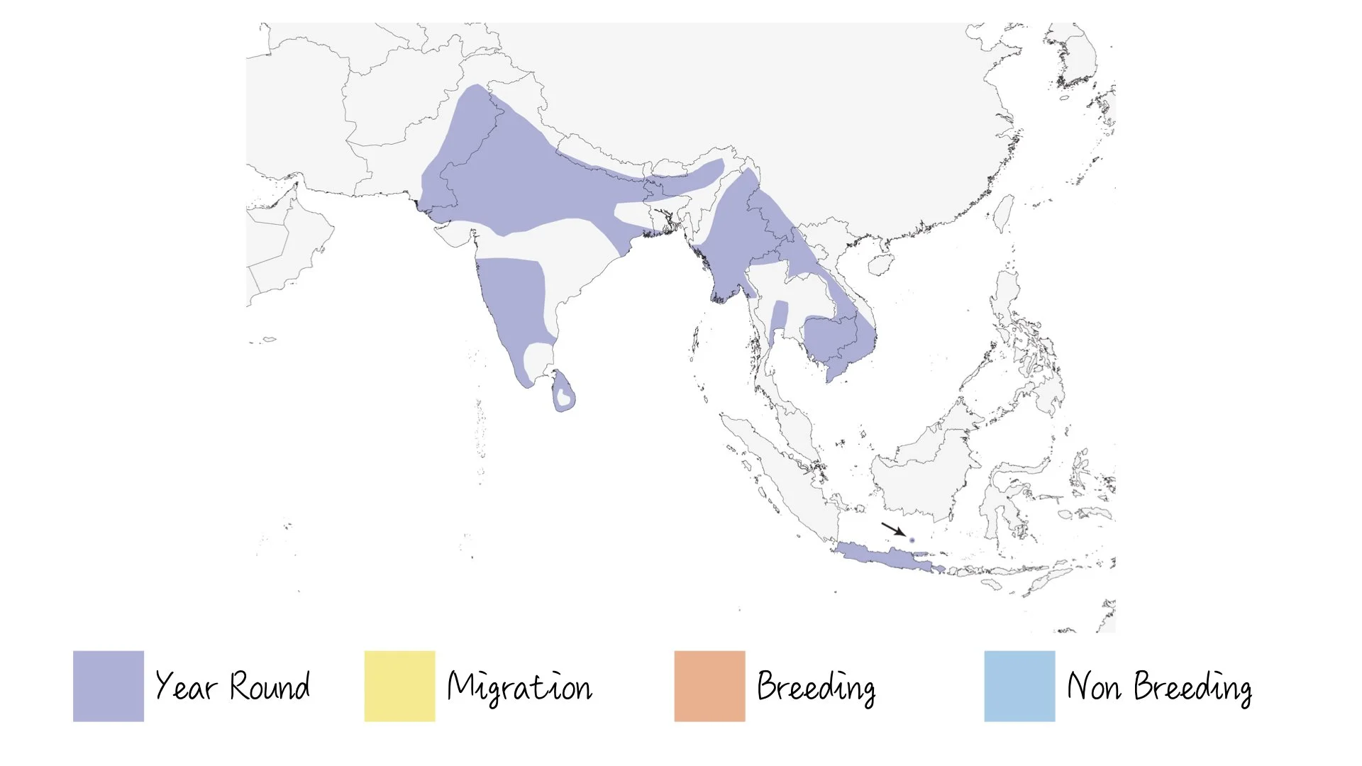 Streaked Weaver - Range & Distribution - WildArtWorks
