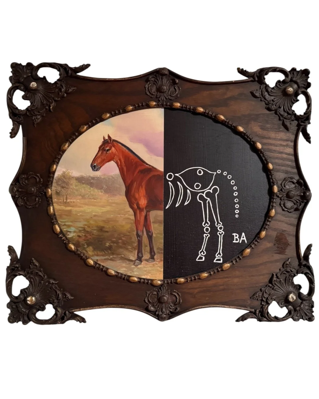 Half a Horse
