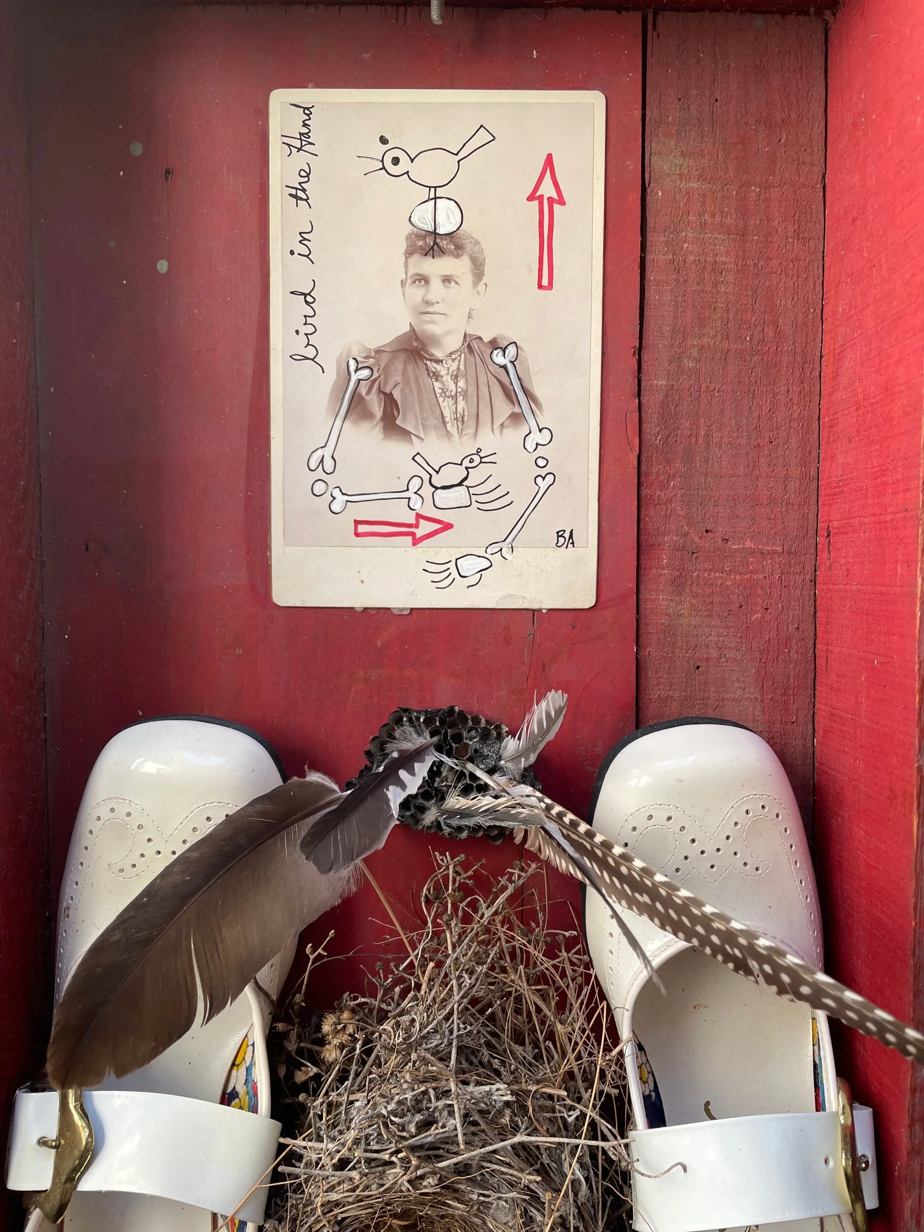 53F472BC-5AFA-40E3-B83B-8ADFD4DFDA49