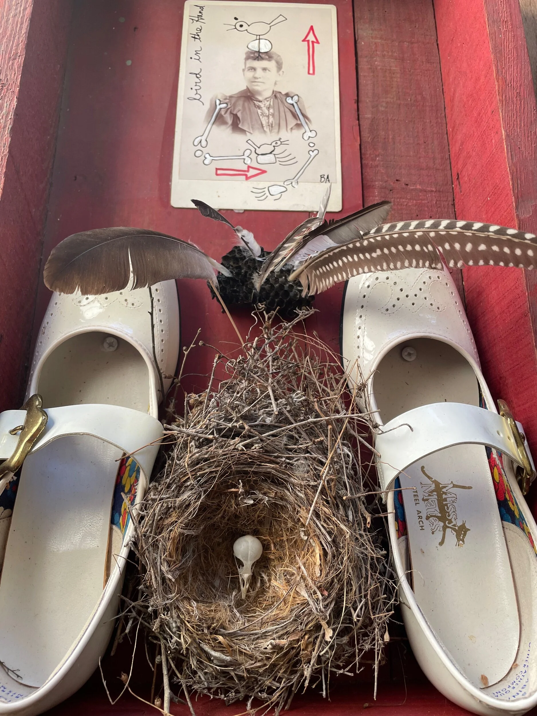 6B4943DC-F7B2-45E7-BC94-B1737F586709