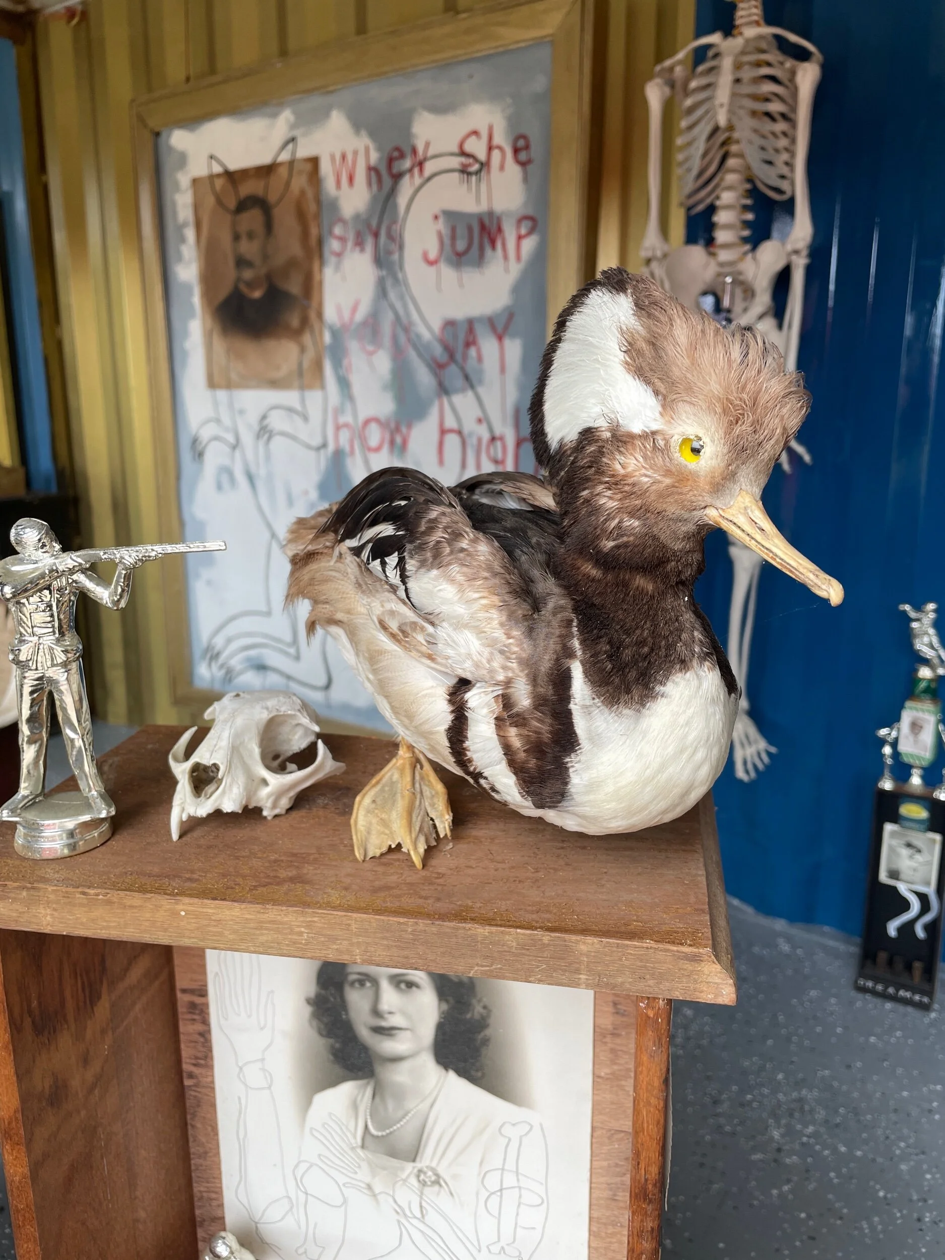 DA0B1996-F81C-4032-8B21-48E080824FB2