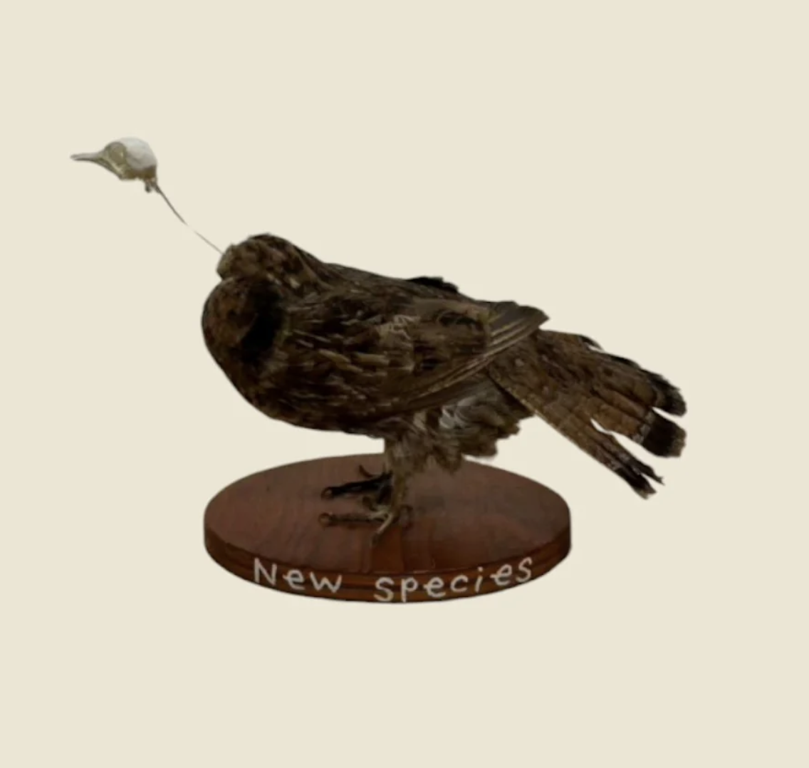 Screenshot 2026-04-07 at 3.24.26 PM.png