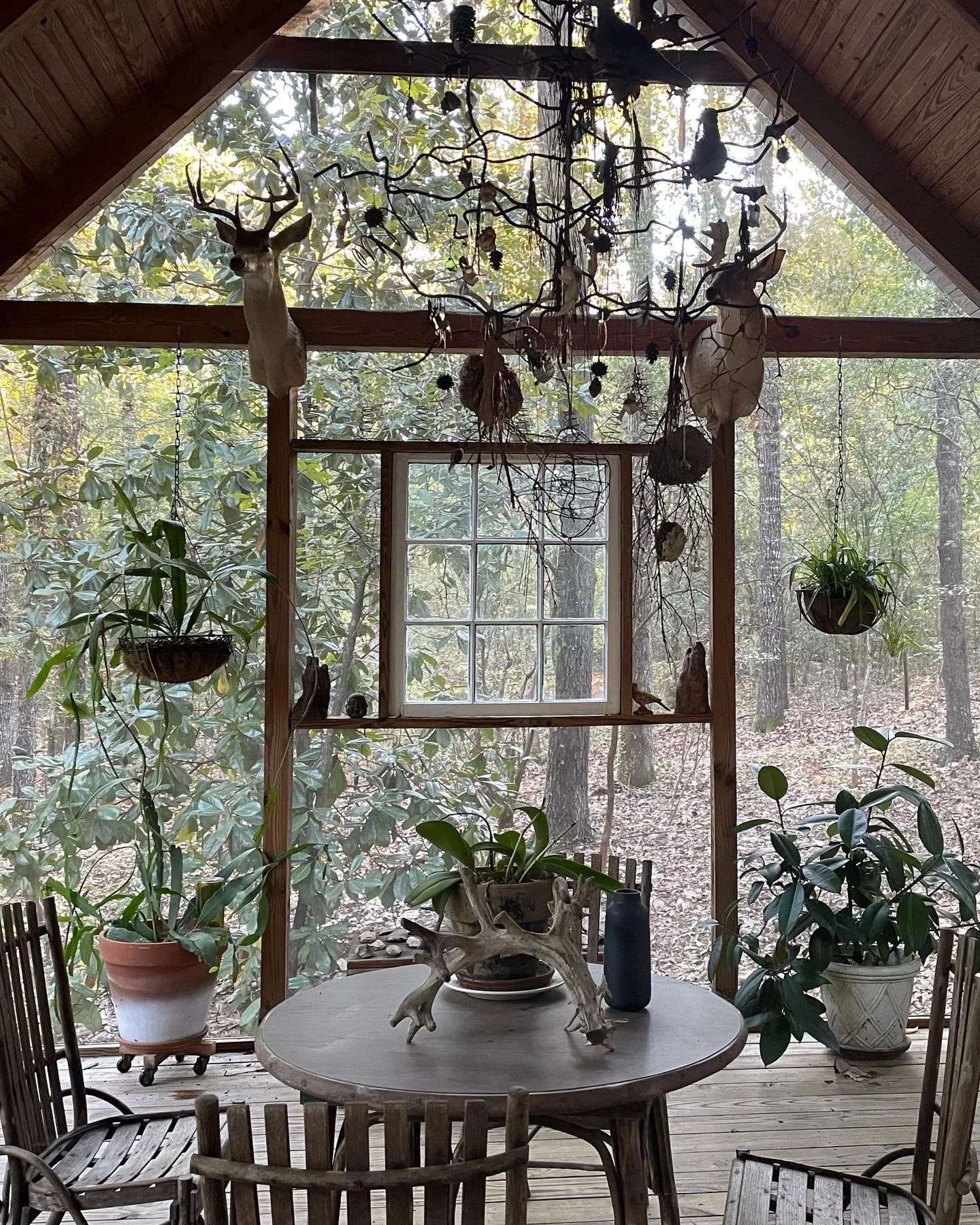 Photo by Museum of Wonder : Back Porch.JPG