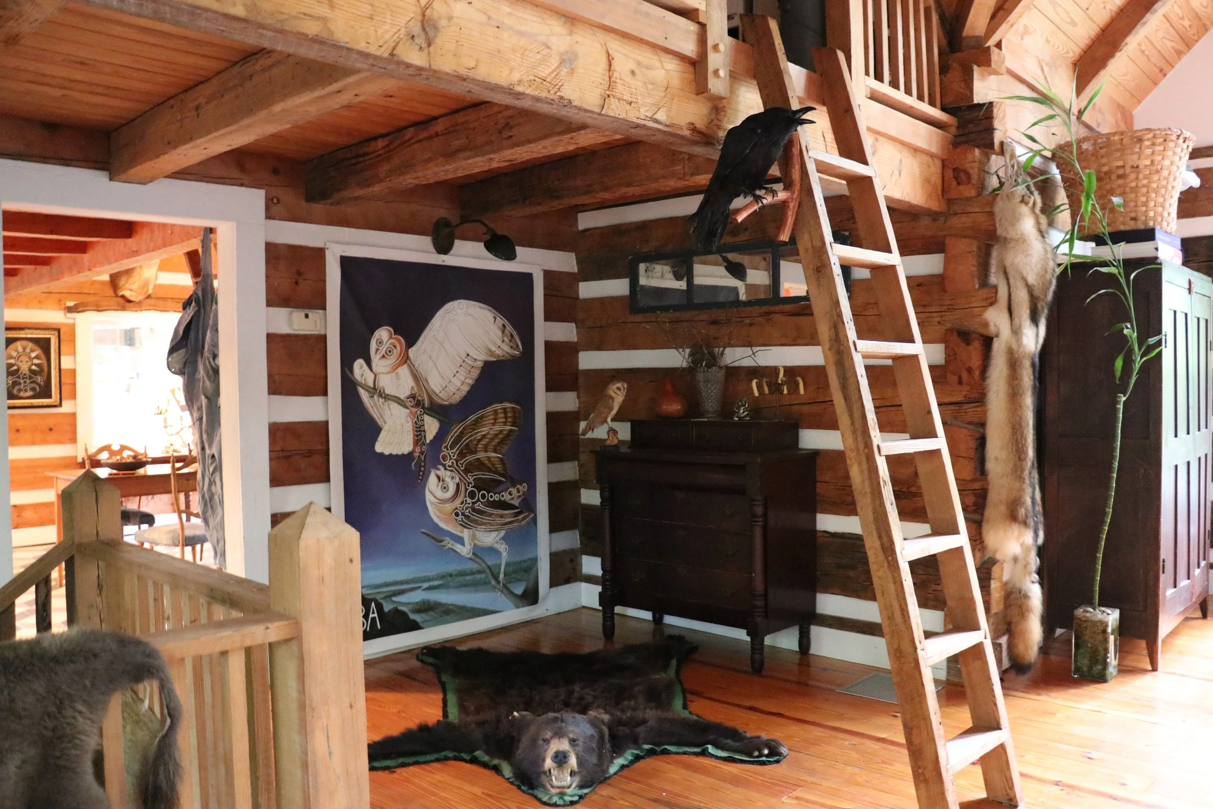 Photo by Museum of Wonder : loft.jpg