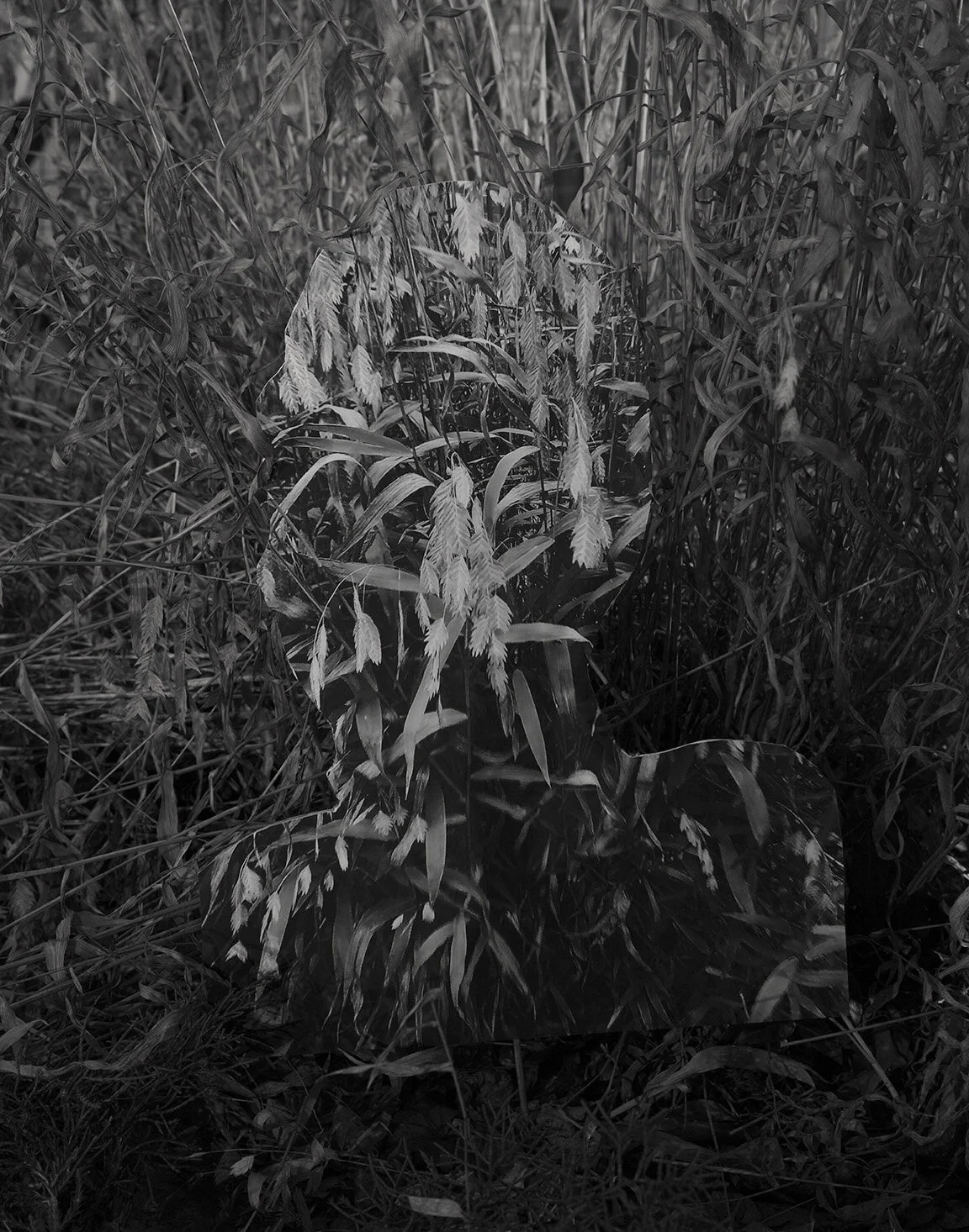 KKJ_Sun stand still.jpg