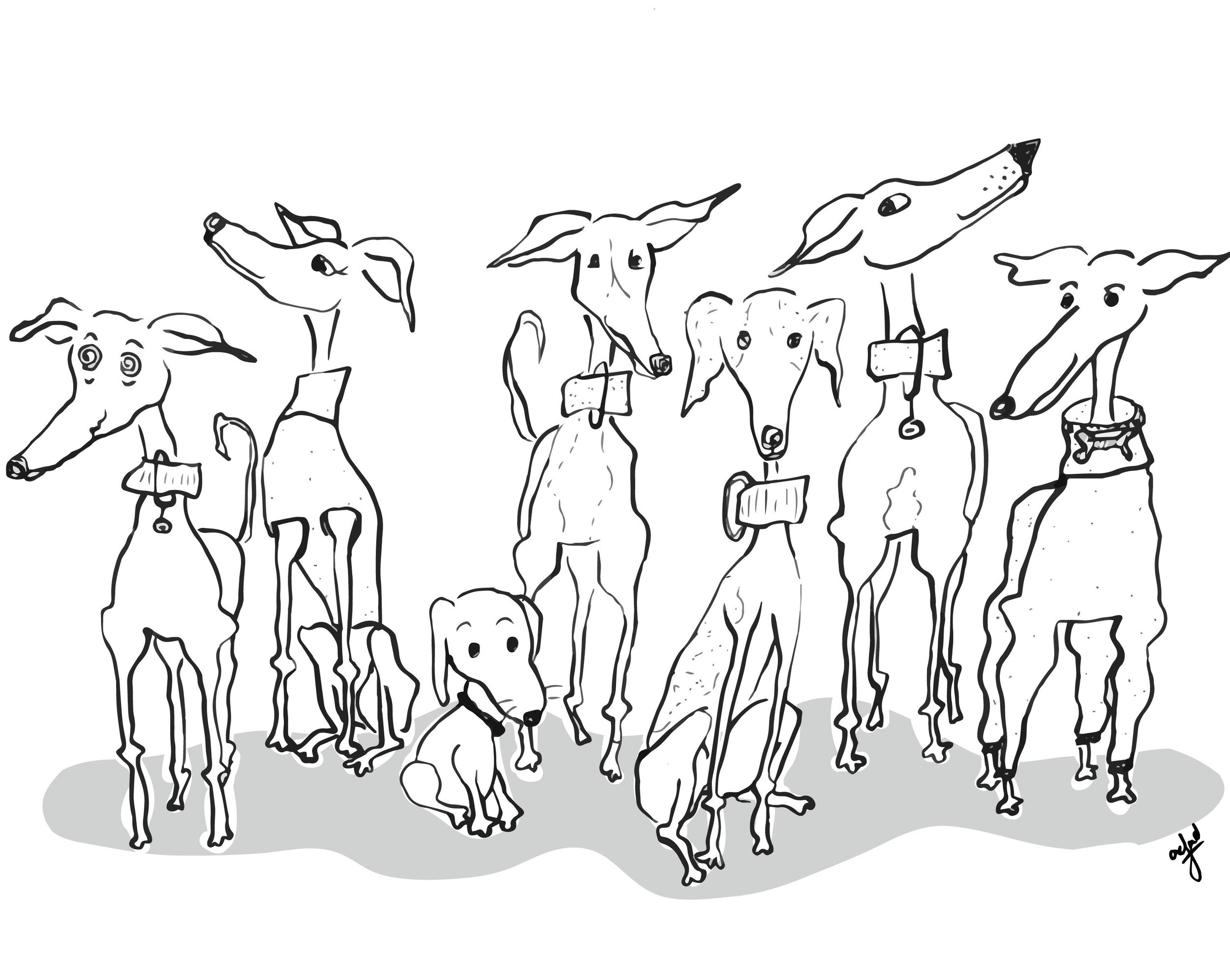 Hampstead Hounds Final-01.jpg