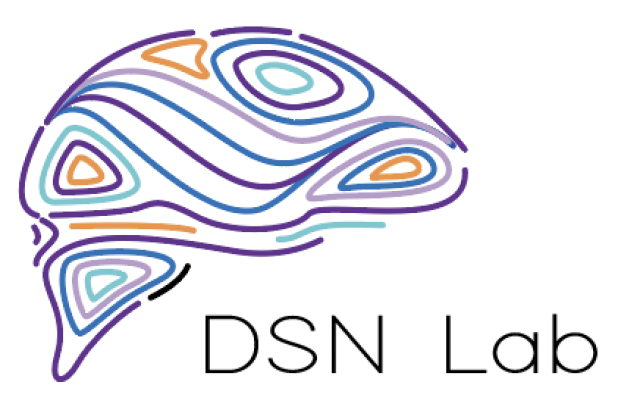 DSN Lab