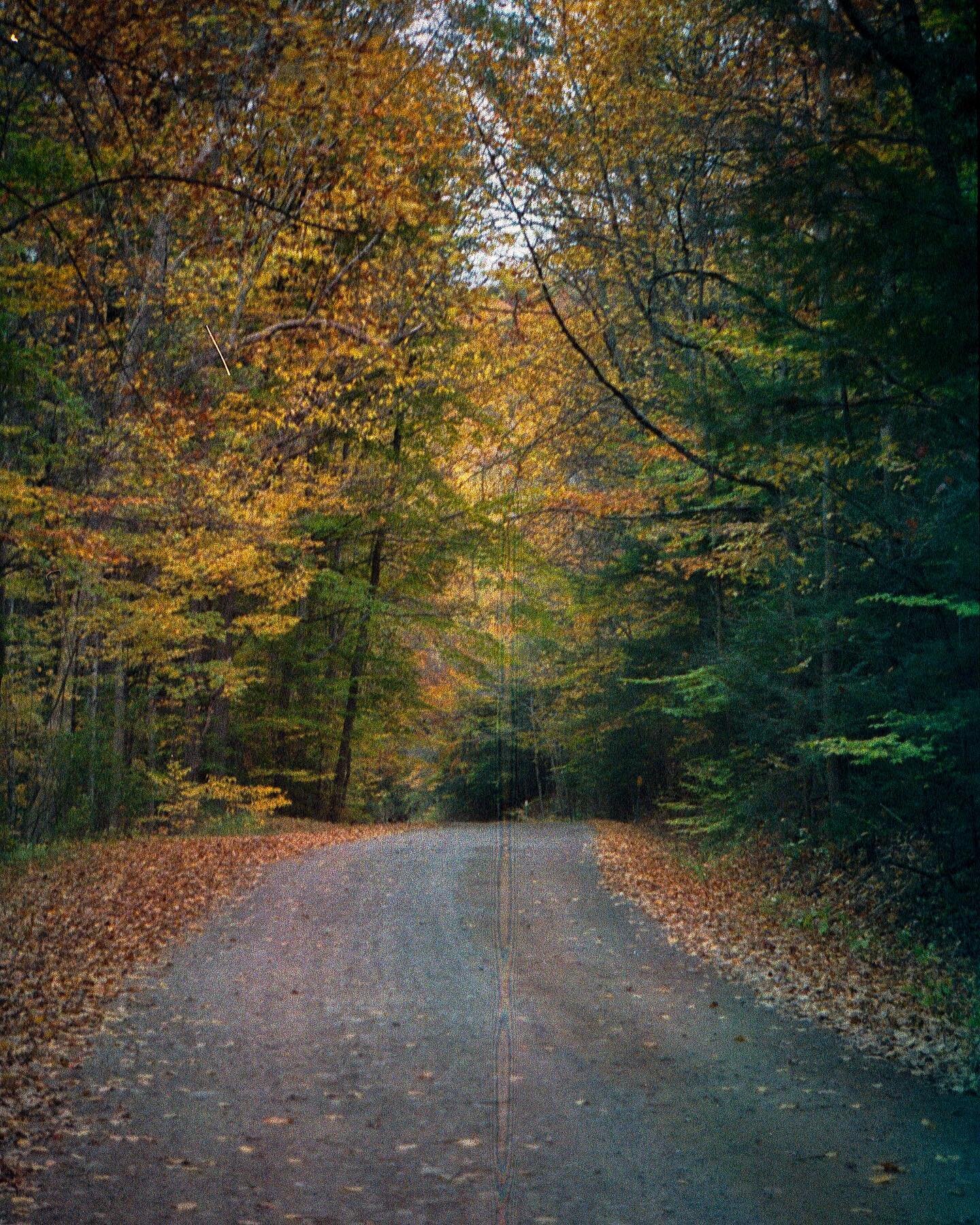 -
In 2021 I will begin selling some of my photography as ✨prints✨ prices will range from $10-$20 per photo based on size and shipping. If you&rsquo;d like a specific photo as a print please let me know! I&rsquo;m prepping 7 photos to have in my shop 