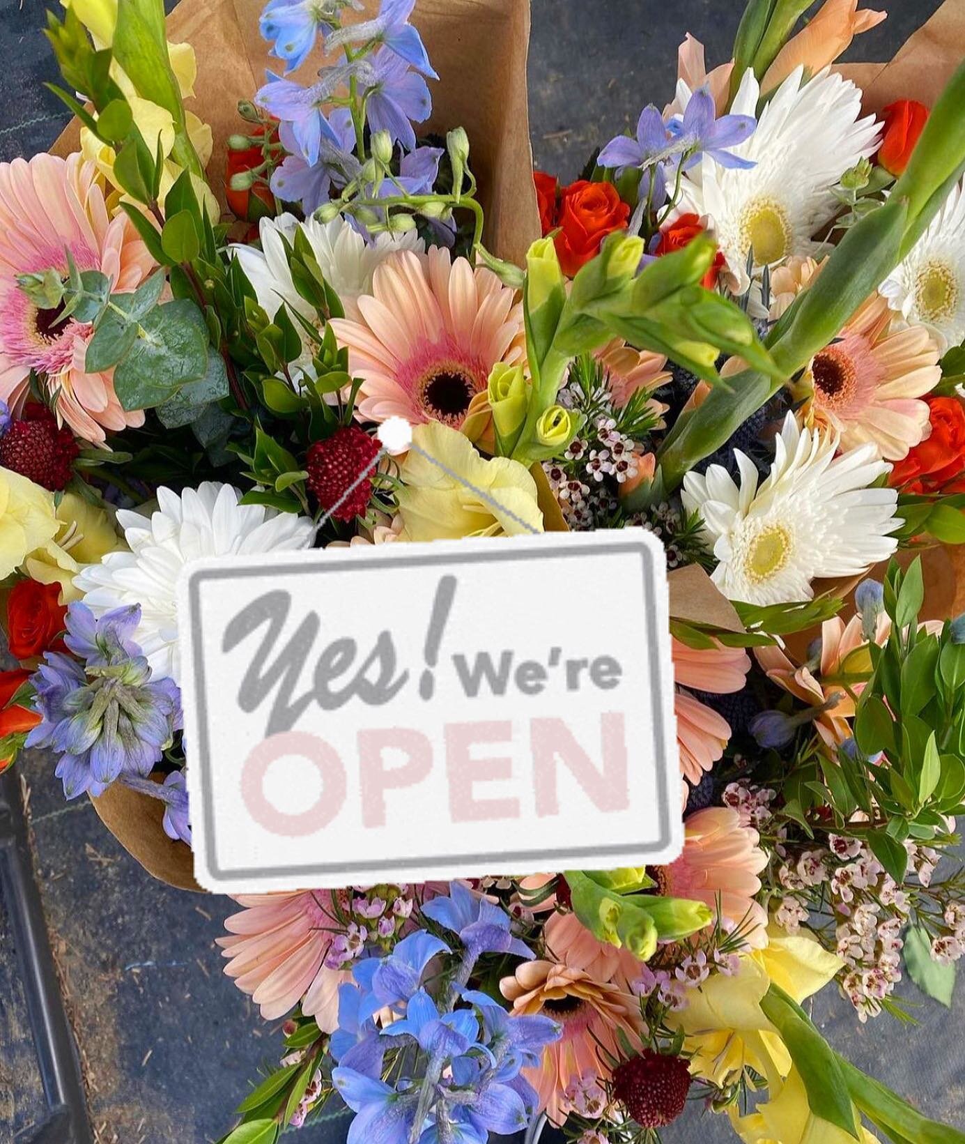 It&rsquo;s a great day to visit the downtown Chula Vista Third Avenue Village farmers market for fruits and veggies, farm fresh eggs, hot cross buns and conchas, chimney cakes, tacos and ceviche, books and plants and so much more! 10 am to 2 pm today