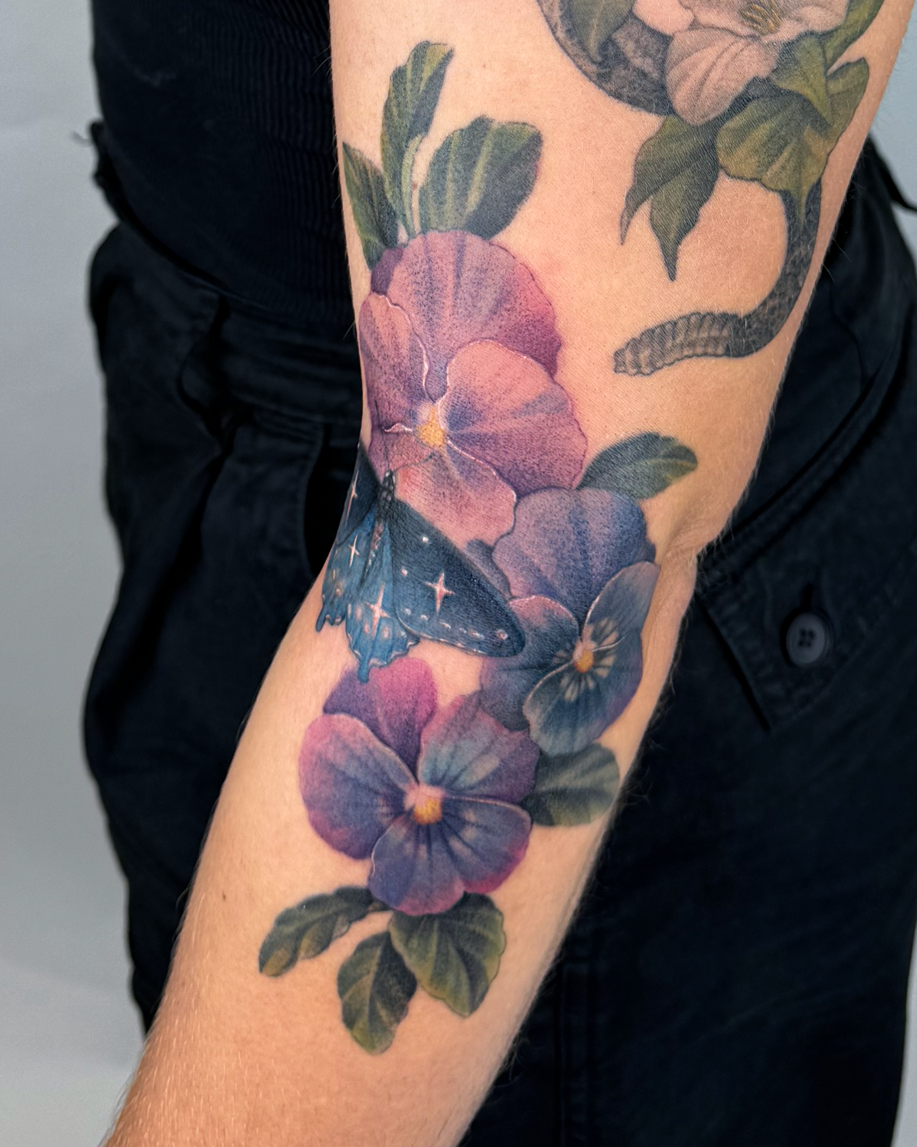 Pansies__Zara.png