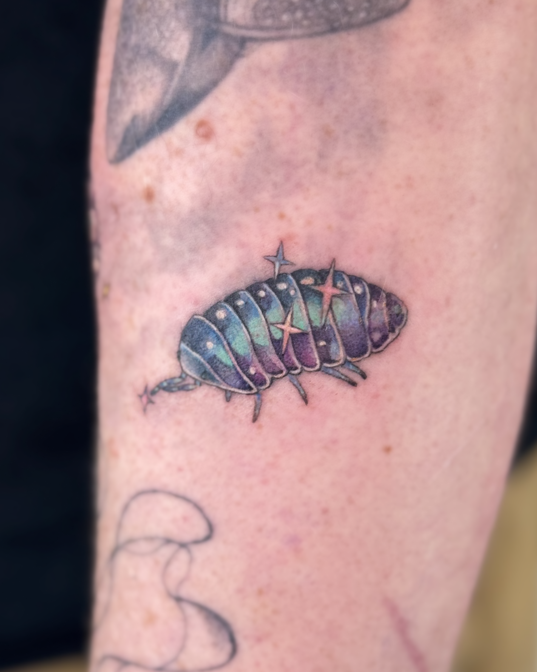 MidnightIsopod.png