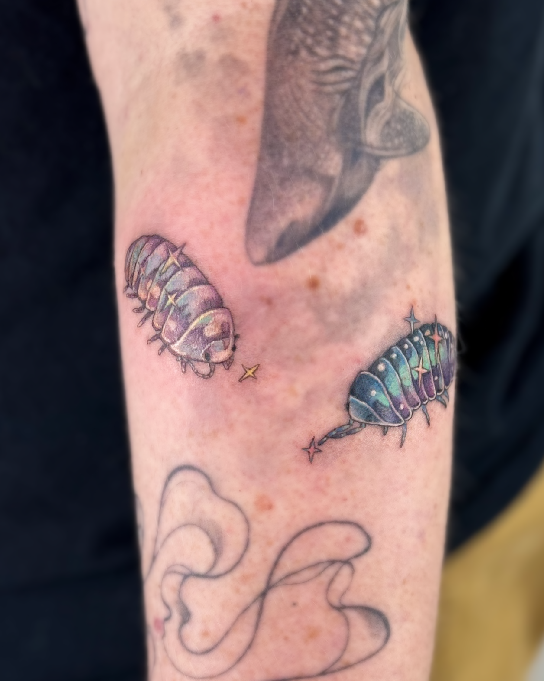 Isopods.png