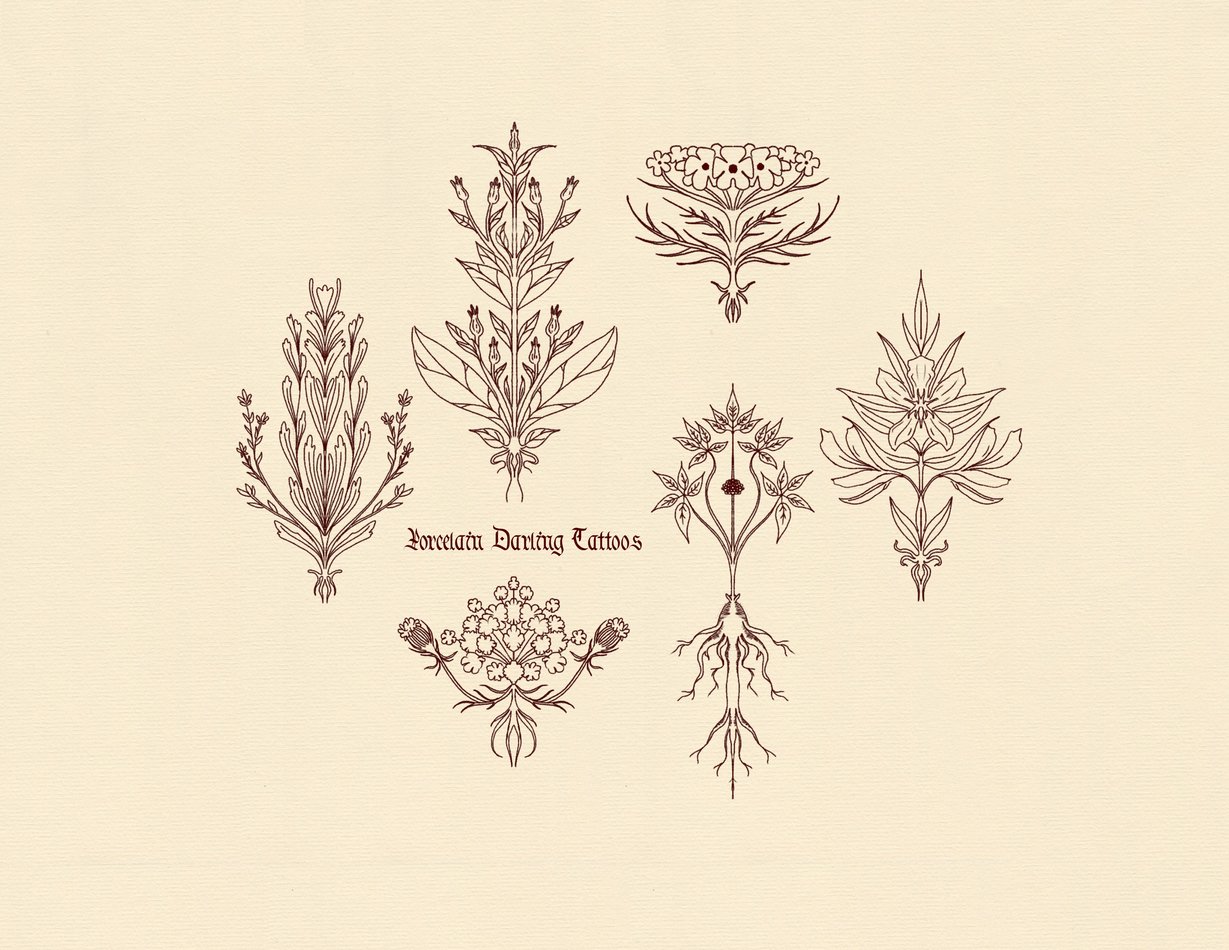 Untitled_Artwork 2.png