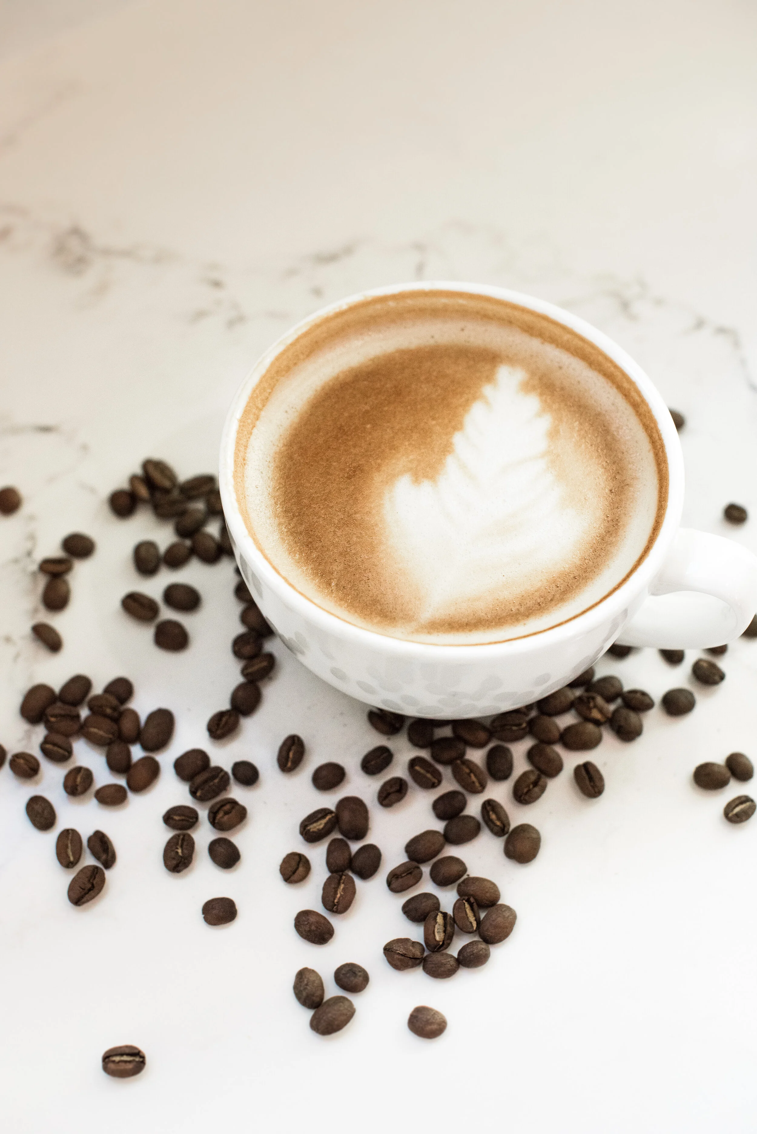 Catering — Southern Girl Coffee Company