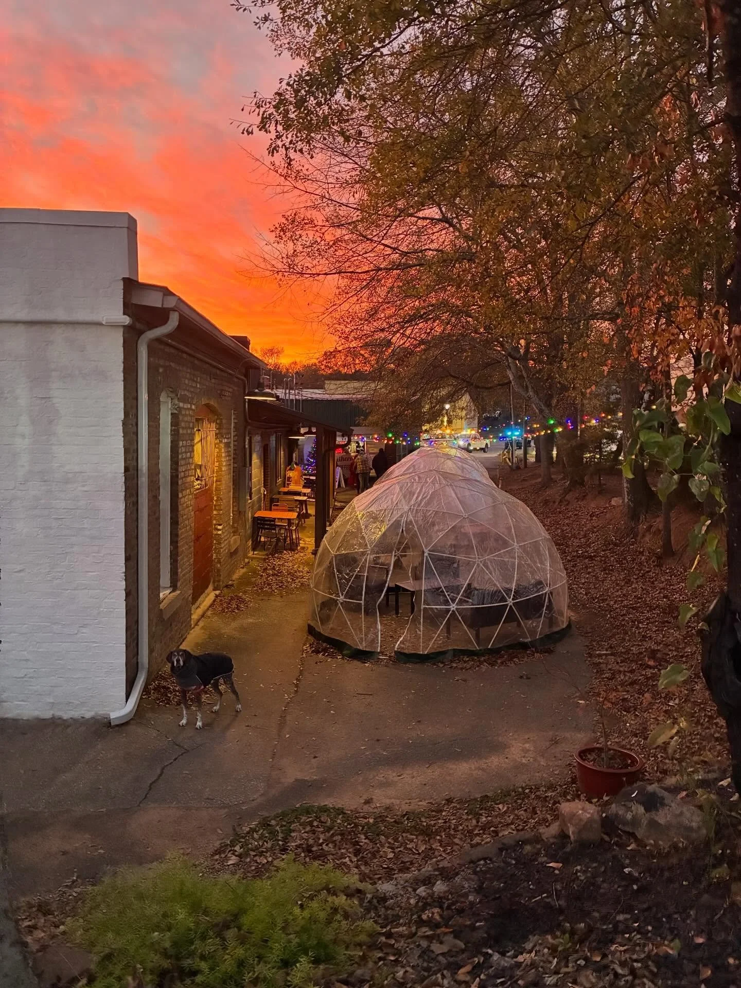 Christmas lights, but the sky went first 🌅

Thanks for coming out for the christmas parade last night! 

#southerngirlcoffeecompany #alleycoffeeshop #christmasparade