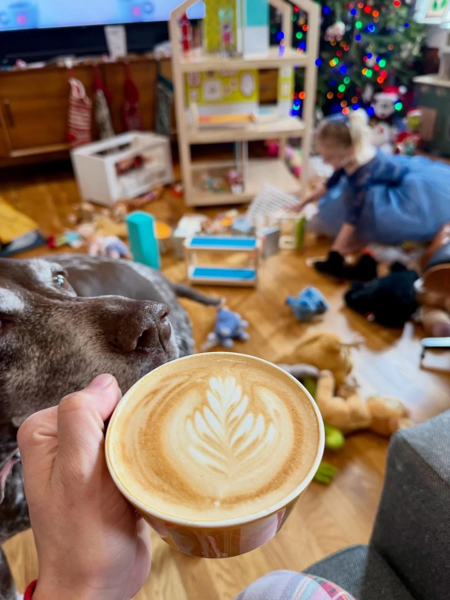 Our Christmas looked a little like this &mdash; coffee in hand, toys on the floor, kids playing, dogs nearby, and hearts full. From our SGC family to yours, Merry Christmas. 🤍🎄☕️

See y&rsquo;all tomorrow. We will be open from 6:30am-2:00pm.