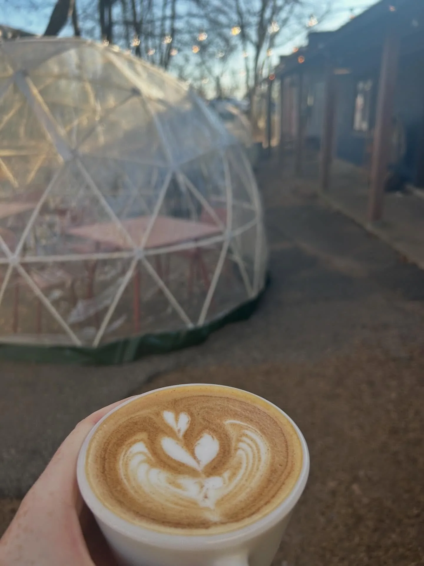 Brrr it is cold be the coffee is warm. We are open normal hours today! Stop by and see us! 

#southerngirlcoffeecompany #alleycoffeeshop #brritscold