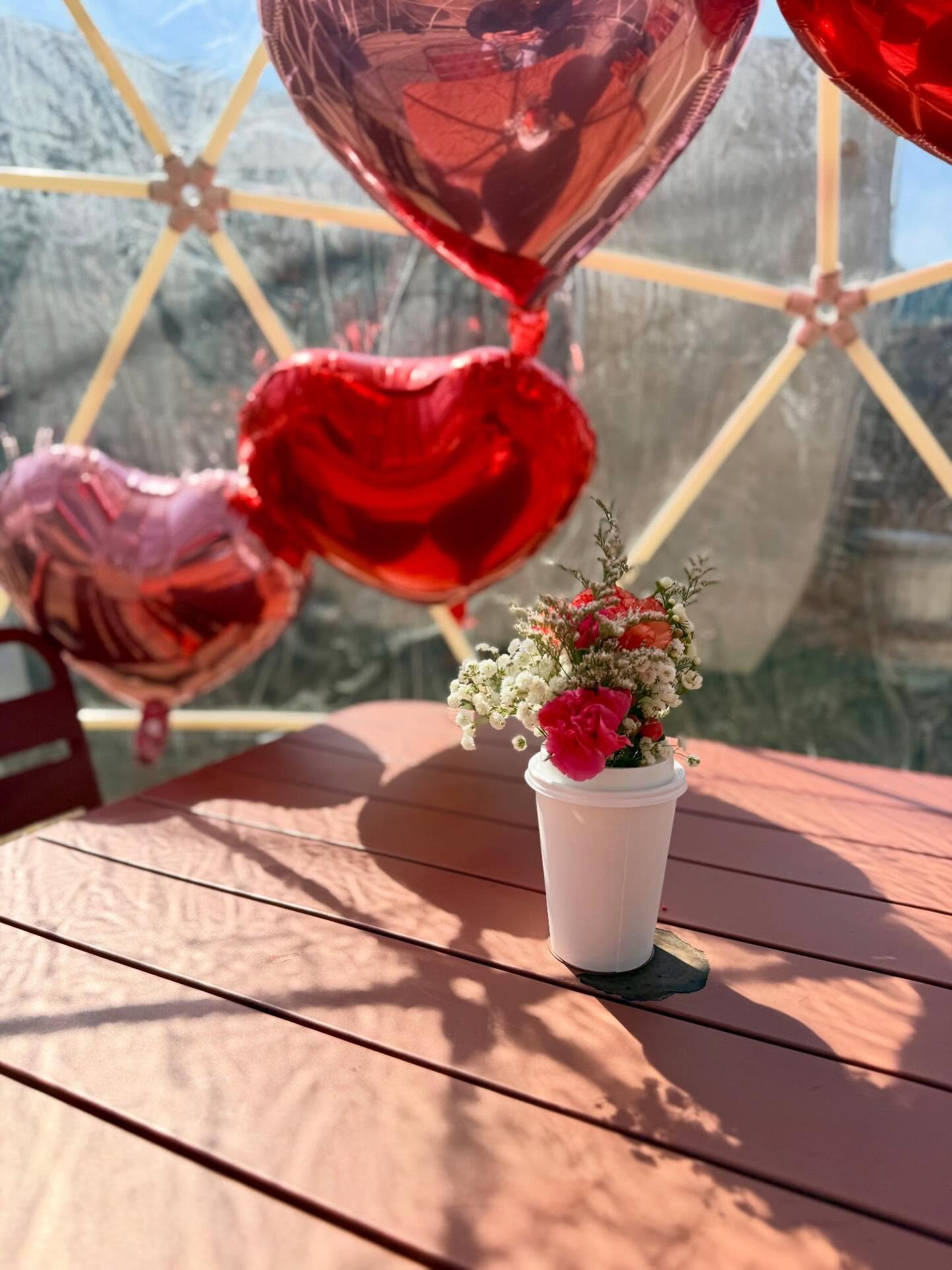The igloos are officially in their Valentine&rsquo;s era 💌✨
Heart balloons, cozy tables, festive drinks, and all the sweet little details that make a moment feel special.

#southerngirlcoffeecompany #alleycoffeeshop #valentines #loveweek #lover