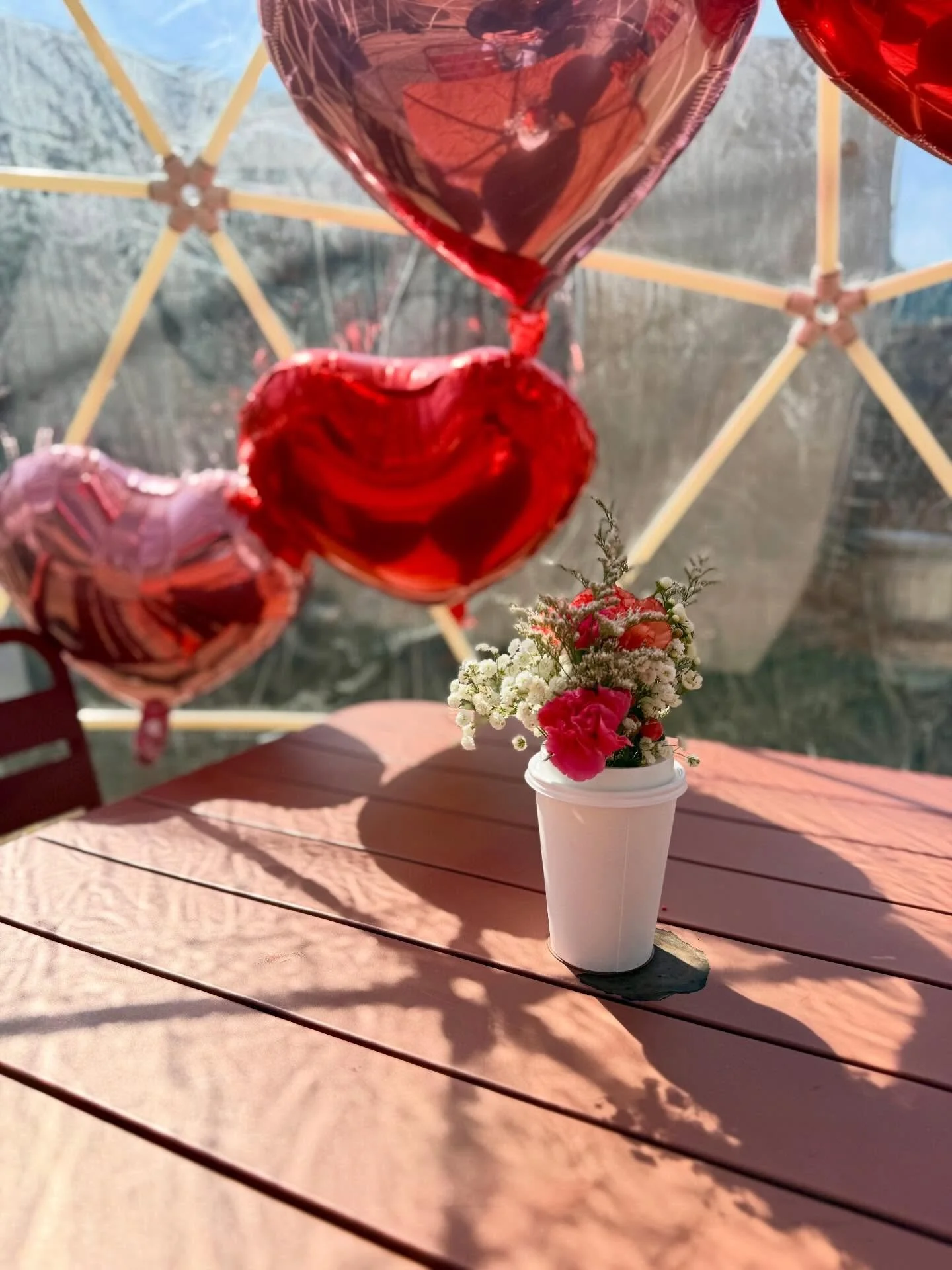 The igloos are officially in their Valentine&rsquo;s era 💌✨
Heart balloons, cozy tables, festive drinks, and all the sweet little details that make a moment feel special.

#southerngirlcoffeecompany #alleycoffeeshop #valentines #loveweek #lover