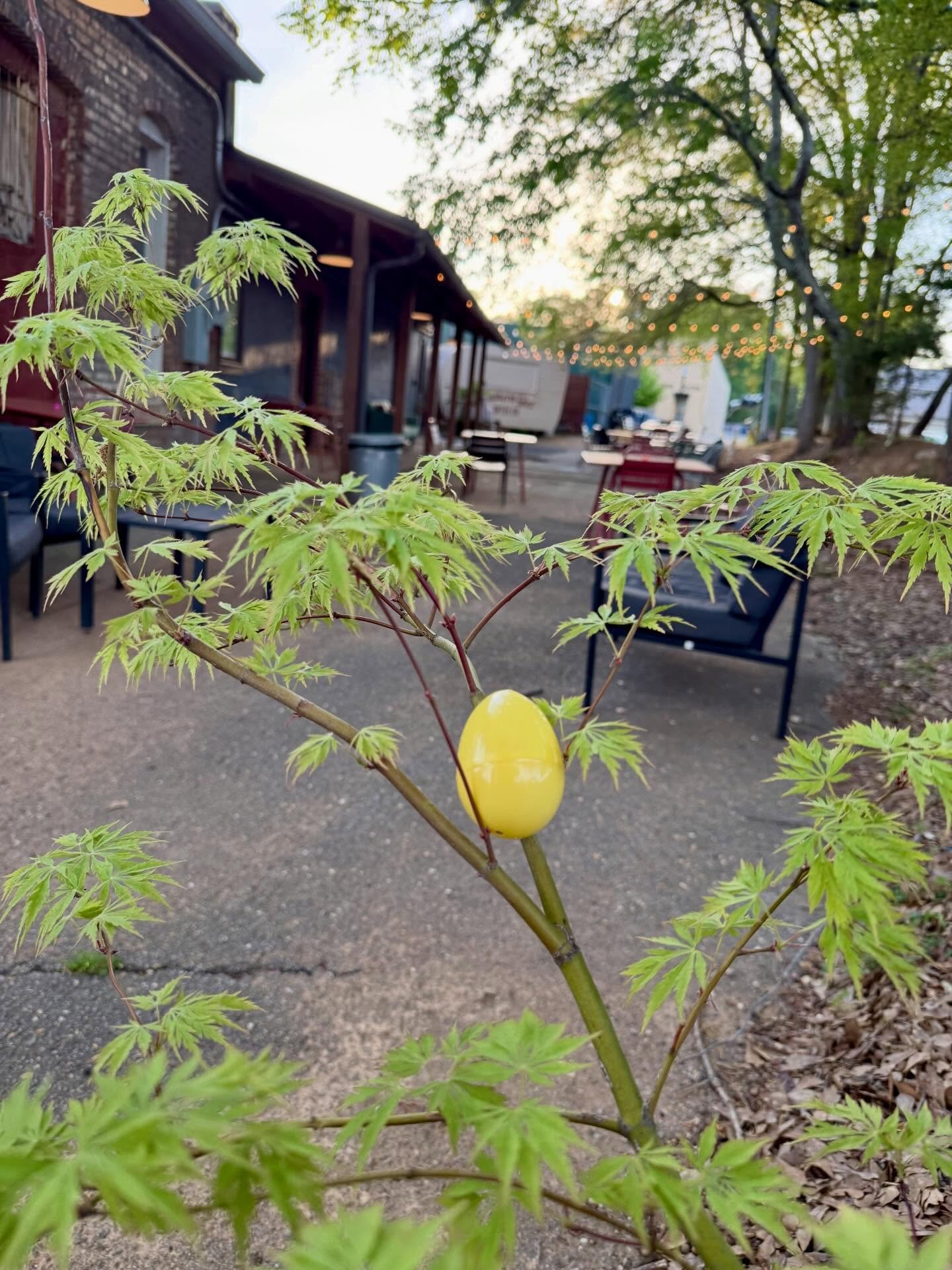 Uh oh&hellip; we&rsquo;ve been egged! 🐰🥚

Bring your kiddos by tomorrow from 7:30am-2:00pm for a little Easter egg hunt!

Check the alley, the park, and the sidewalk for sweet surprises 🐣

Until the eggs are gone!

Thank you @shellbellemack 

#hap