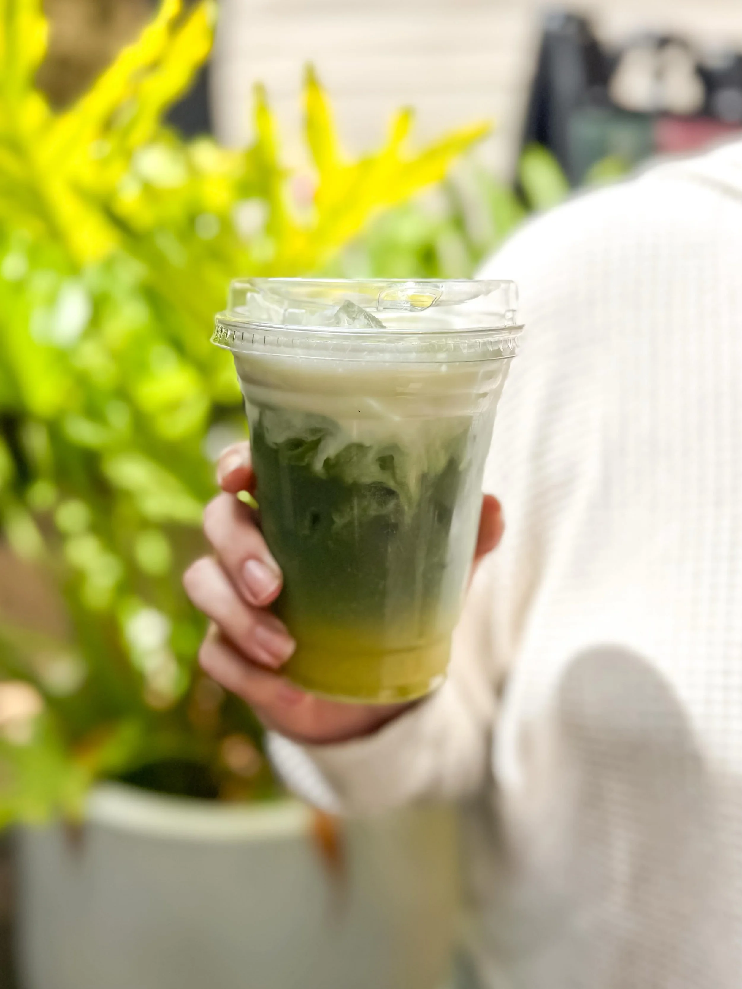 A little sunshine in a cup

Meet The Orange Dreamsicle &mdash; citrusy, earthy, and creamy.
Made with orange juice, matcha, and a dreamy orange cold foam that tastes like summer. 

Available now in the alley 🍊💛

#southerngirlcoffeecompany #alleycof