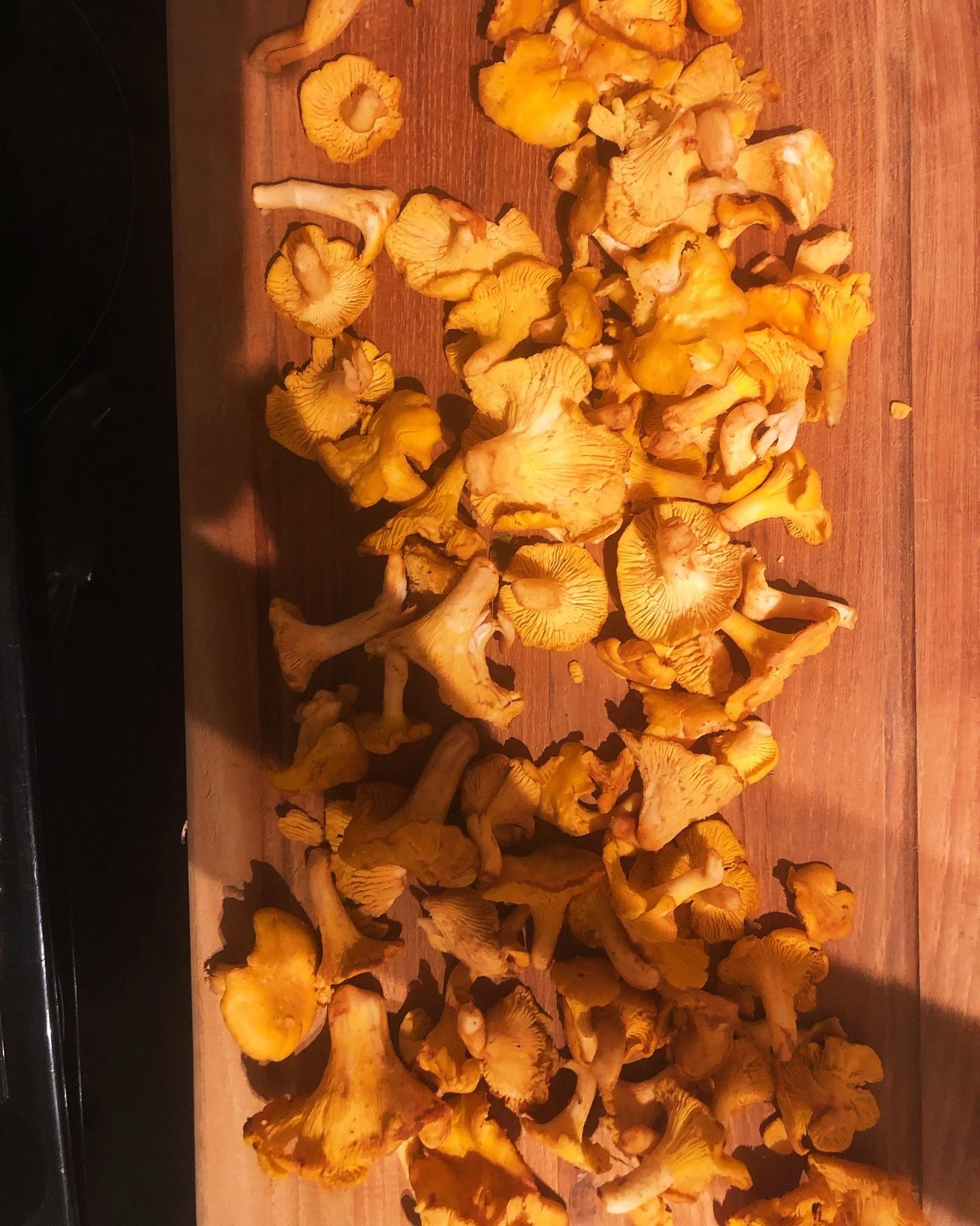 Thanks mom! 

#mushrooms #kantareller #skagen #chantarelle #svampejagt