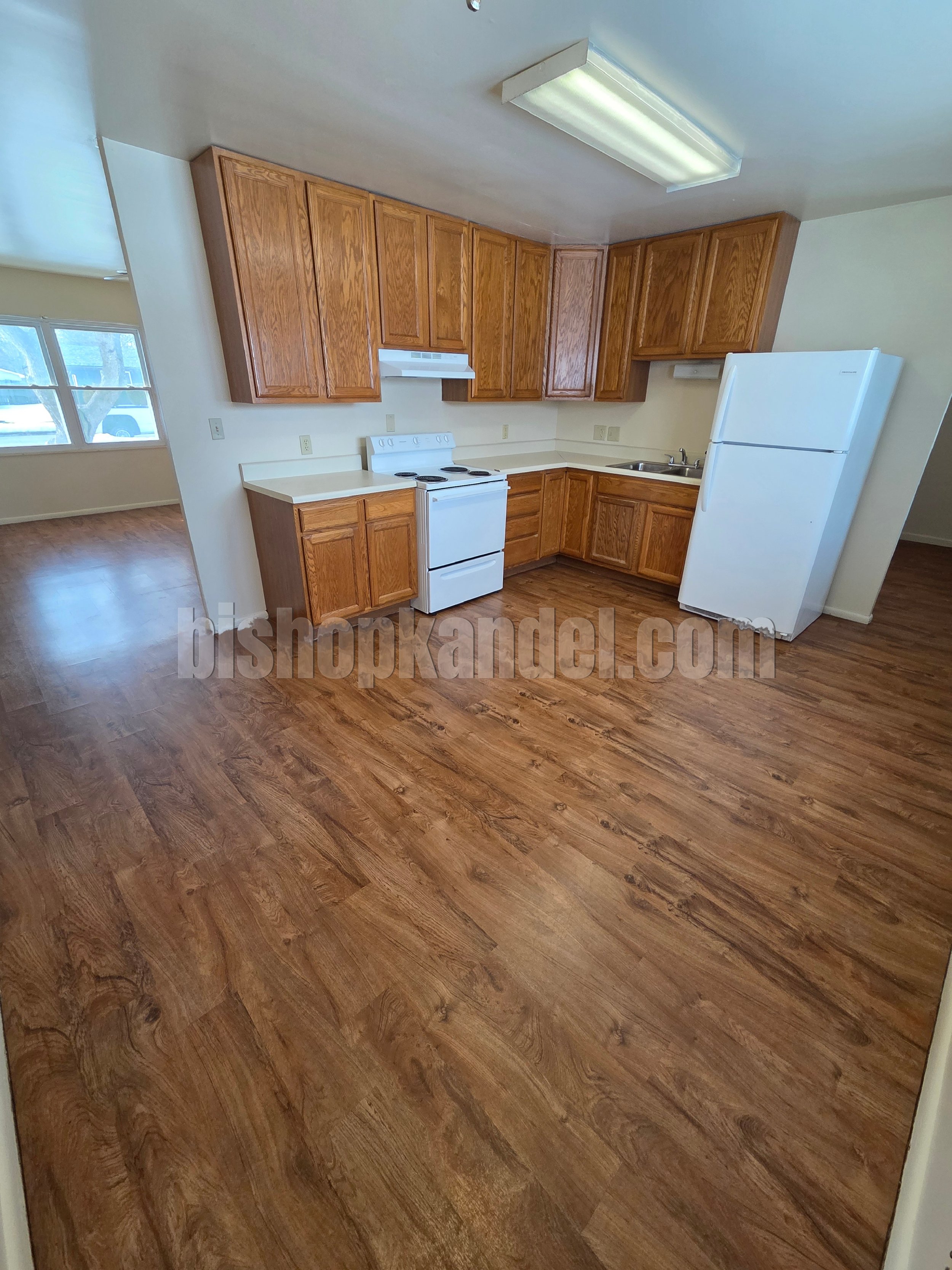 20260210_151353 WM.JPG