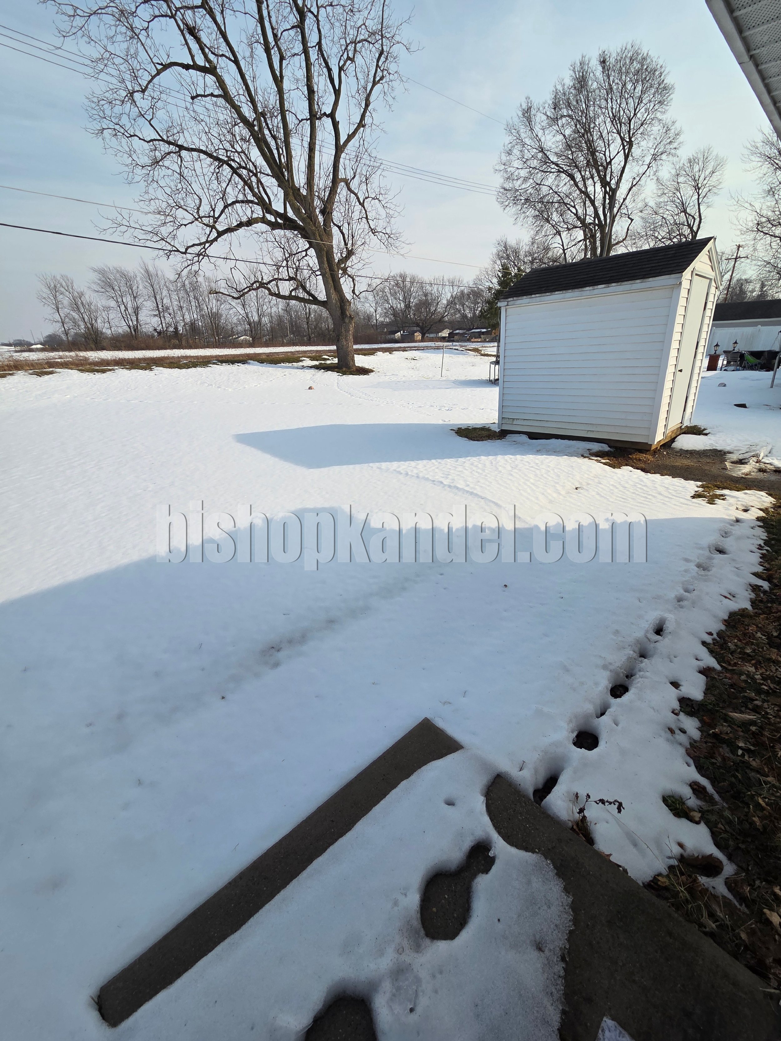 20260210_151530 WM.JPG