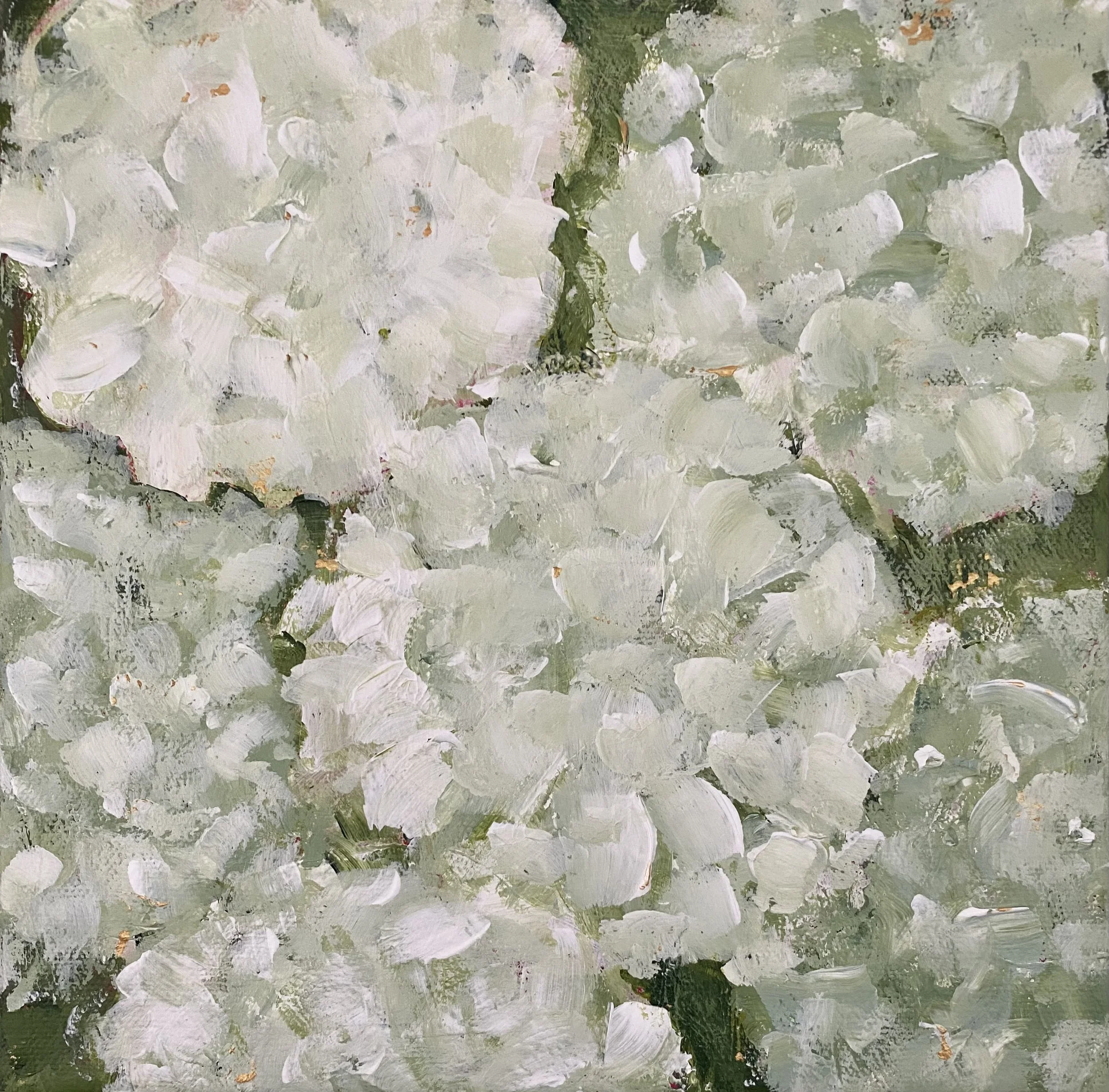 Hydrangeas With Tea, 8x8