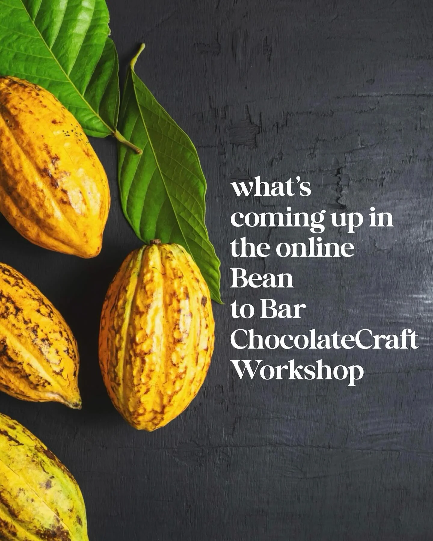 A peek at the upcoming livestreams in the Workshop, and the topics we dive into with the course materials. 

We record all livestreams so you can re-watch whenever it&rsquo;s convenient (and even watch previous years in the livestream library).

ps, 