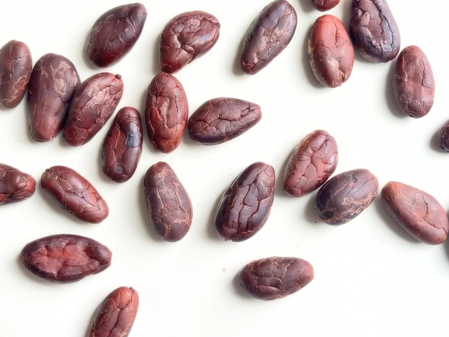 Tomorrow in my Bean to Bar workshop we&rsquo;ll be going deeper into roasting:

🔥 🫘🍫roasting is our chance to nurture and highlight an origin&rsquo;s unique flavor personality

🔥🫘🍫pairing the roast profile to the batch % is a useful tool 

🔥🫘