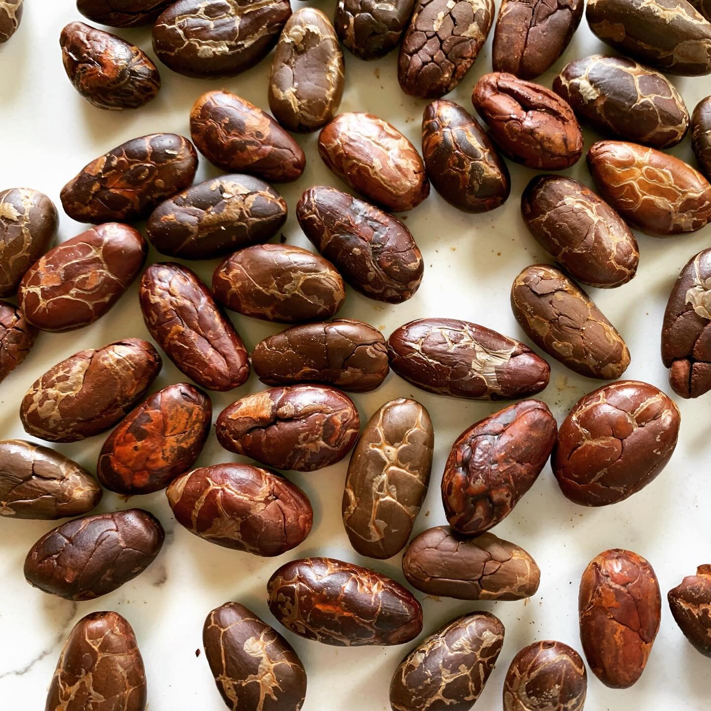 The life of a bean to bar in one caption: batch after batch.