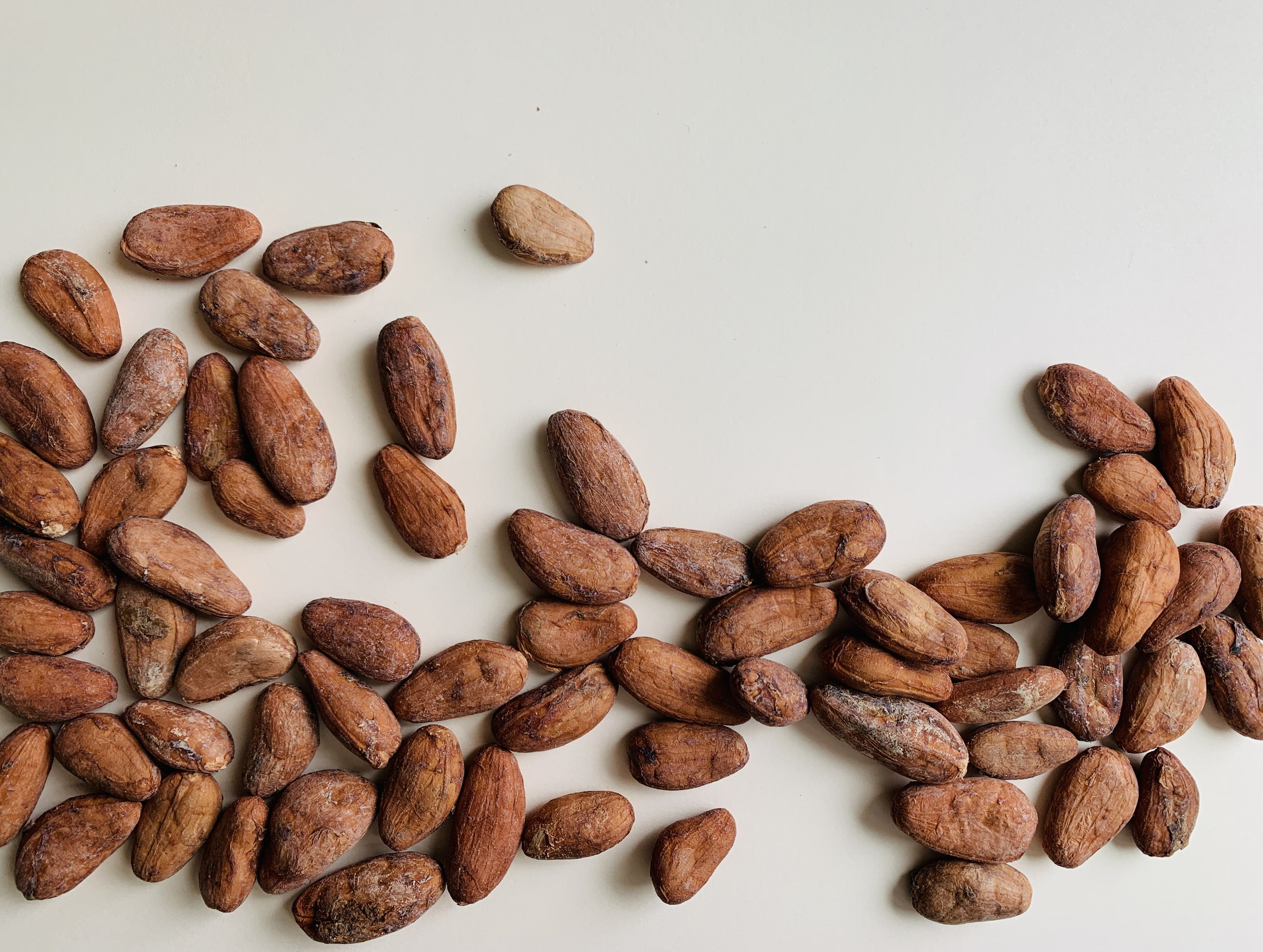 sourcing cacao