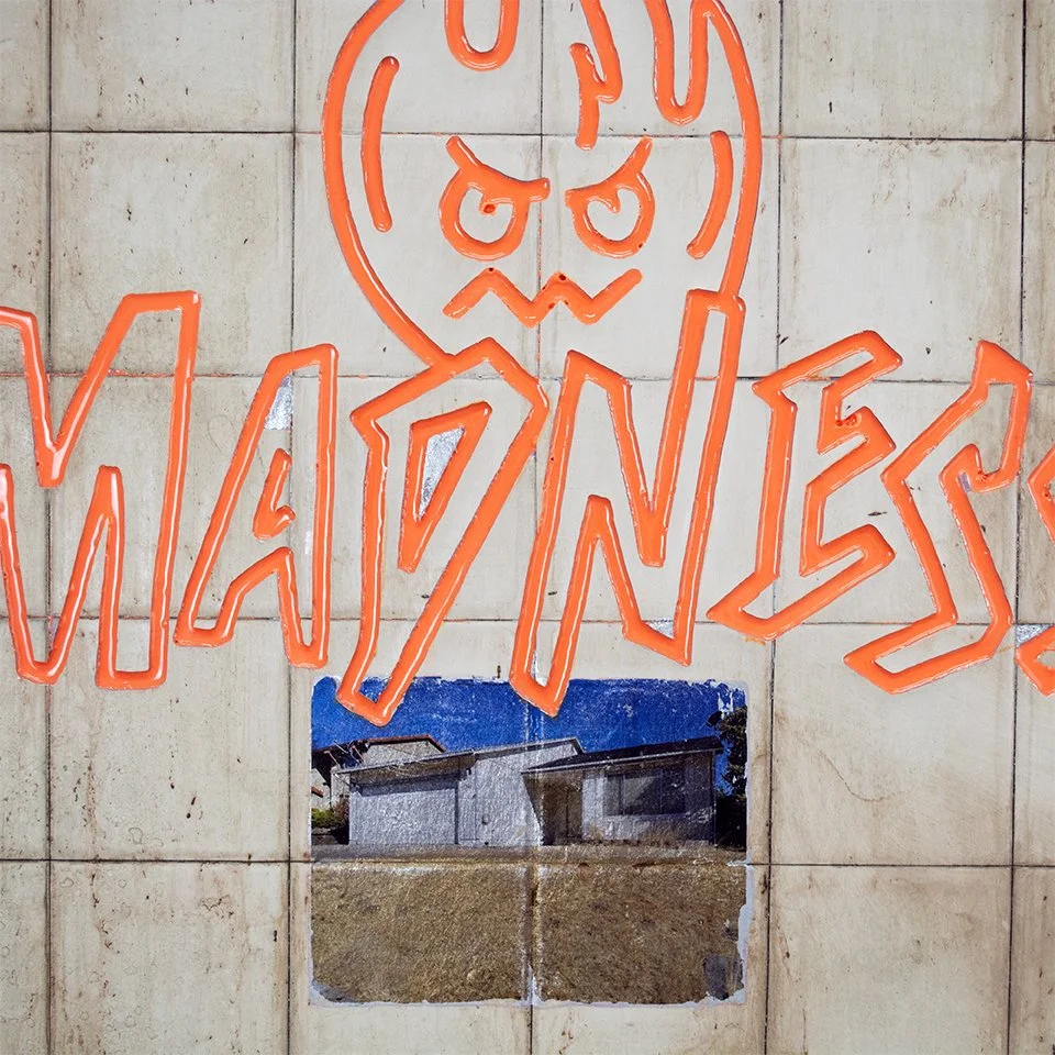 Madness Detail copy.jpg