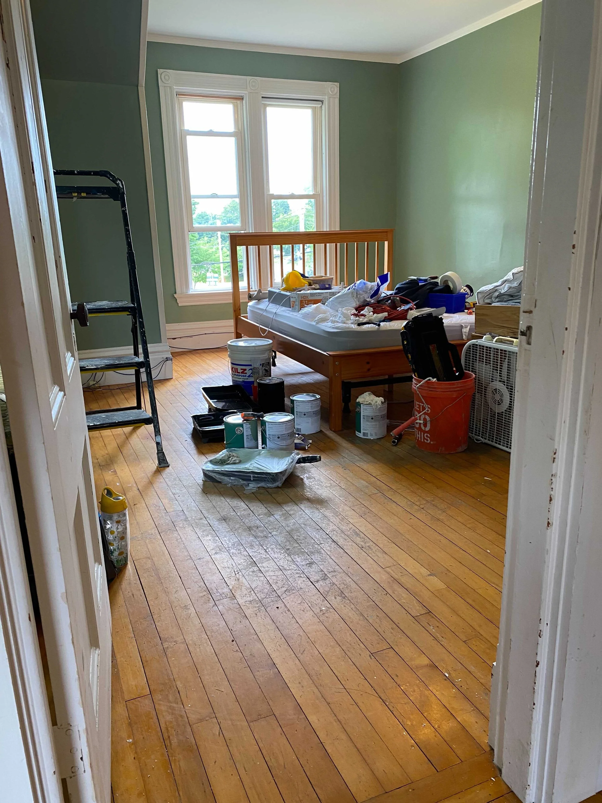 NextStep DV Shelter Doubles Capacity to Care for Pets 