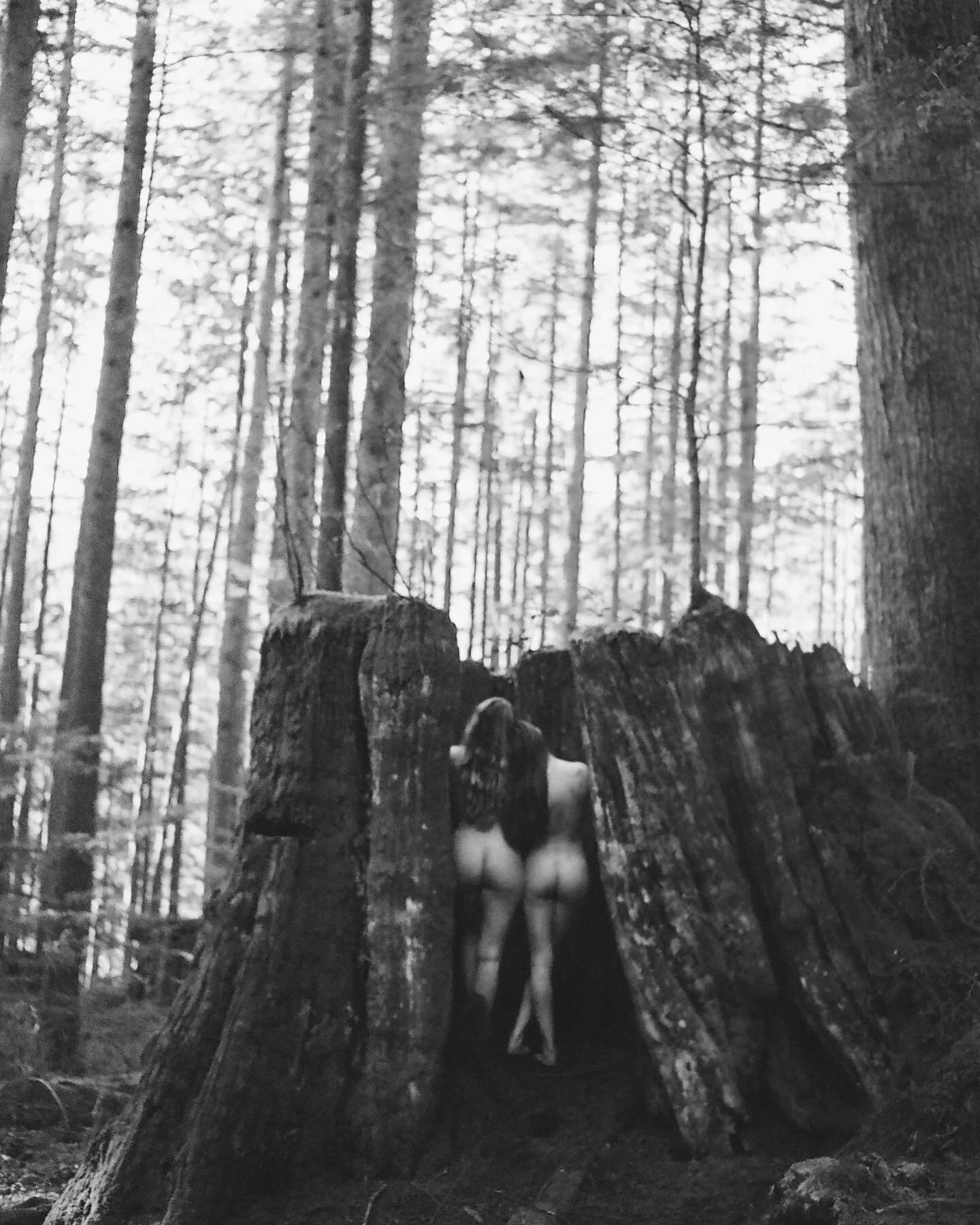 It&rsquo;s her nature // 35mm // #womenwhoshootfilm #analoguecommunity #analogueblackandwhite