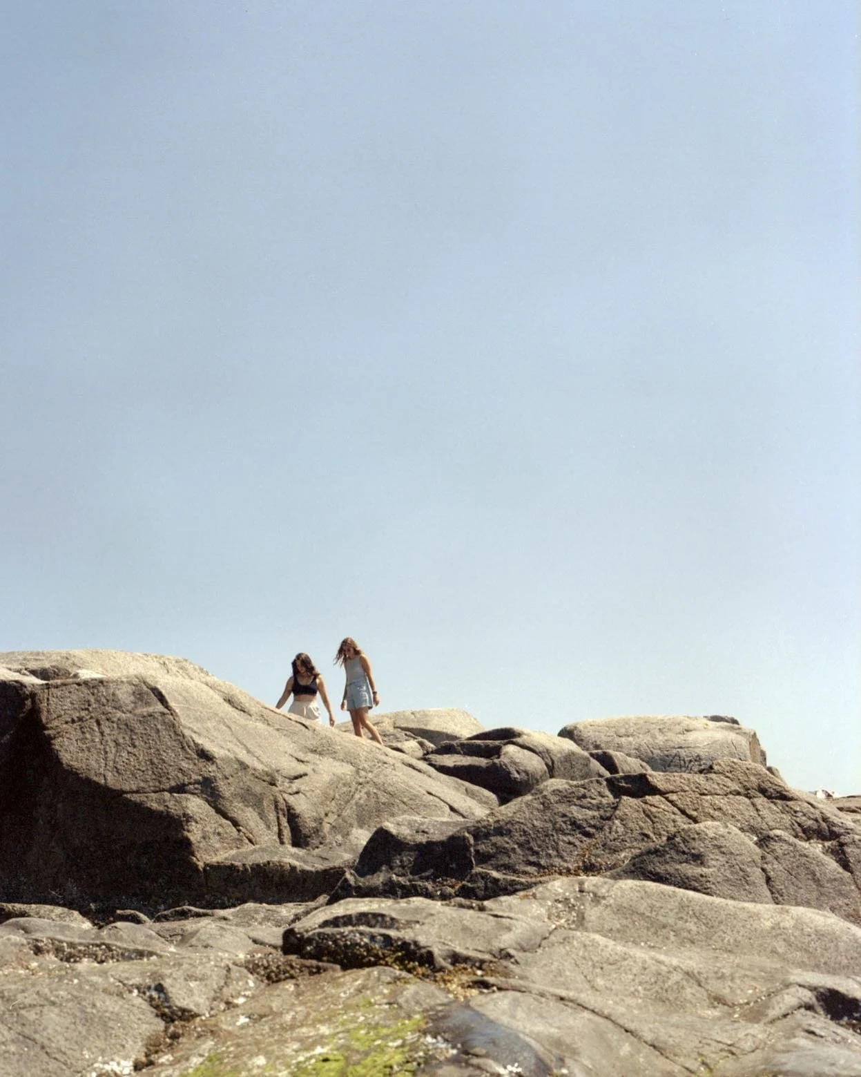 Finding our place // 120mm film