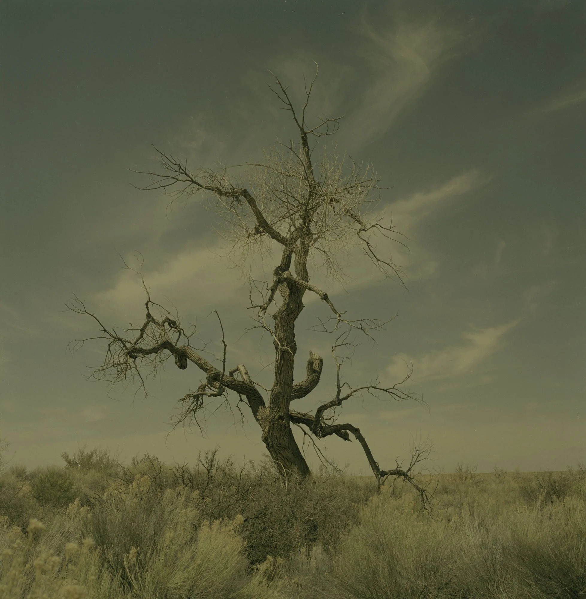 Roadtrip 2-Edit.jpg