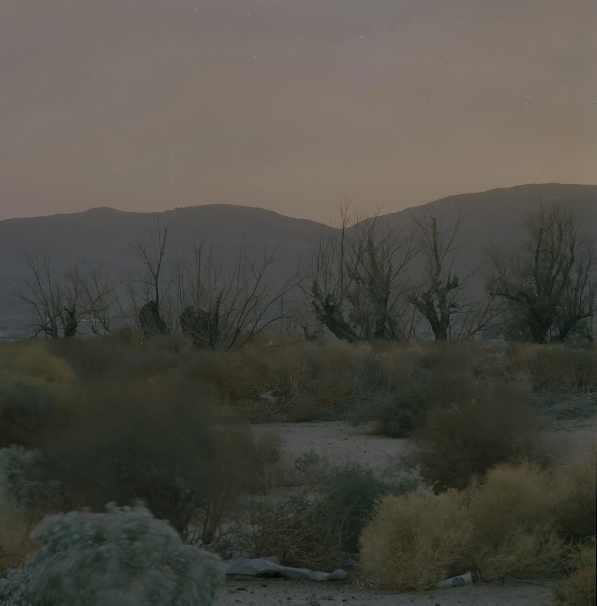 2011_12_01_Trona_12.jpg