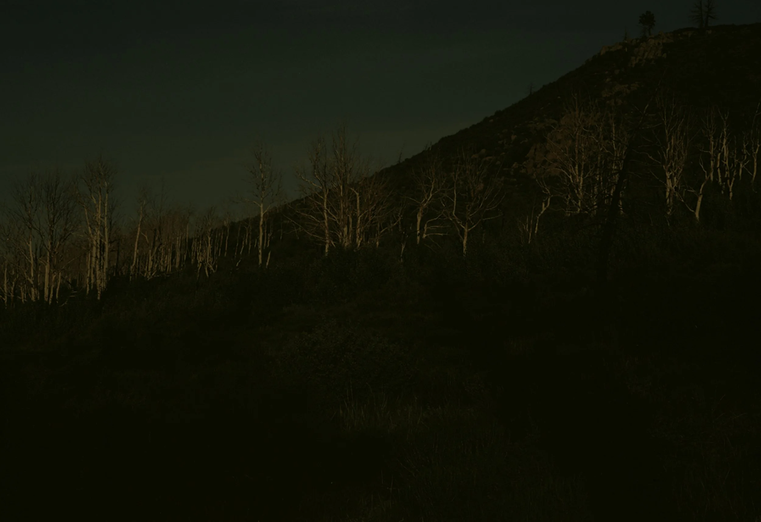 395_1-Edit_RT_18_KM_LT 2.jpg