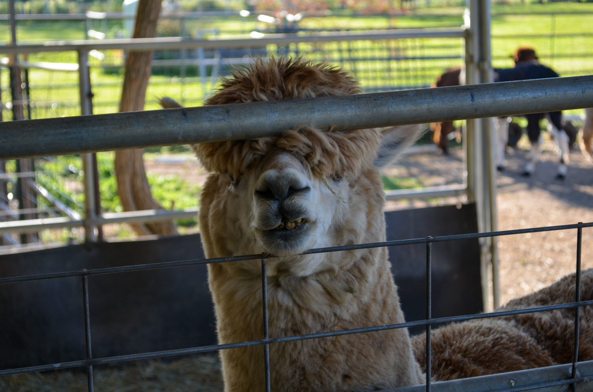 DSC_0003.jpg