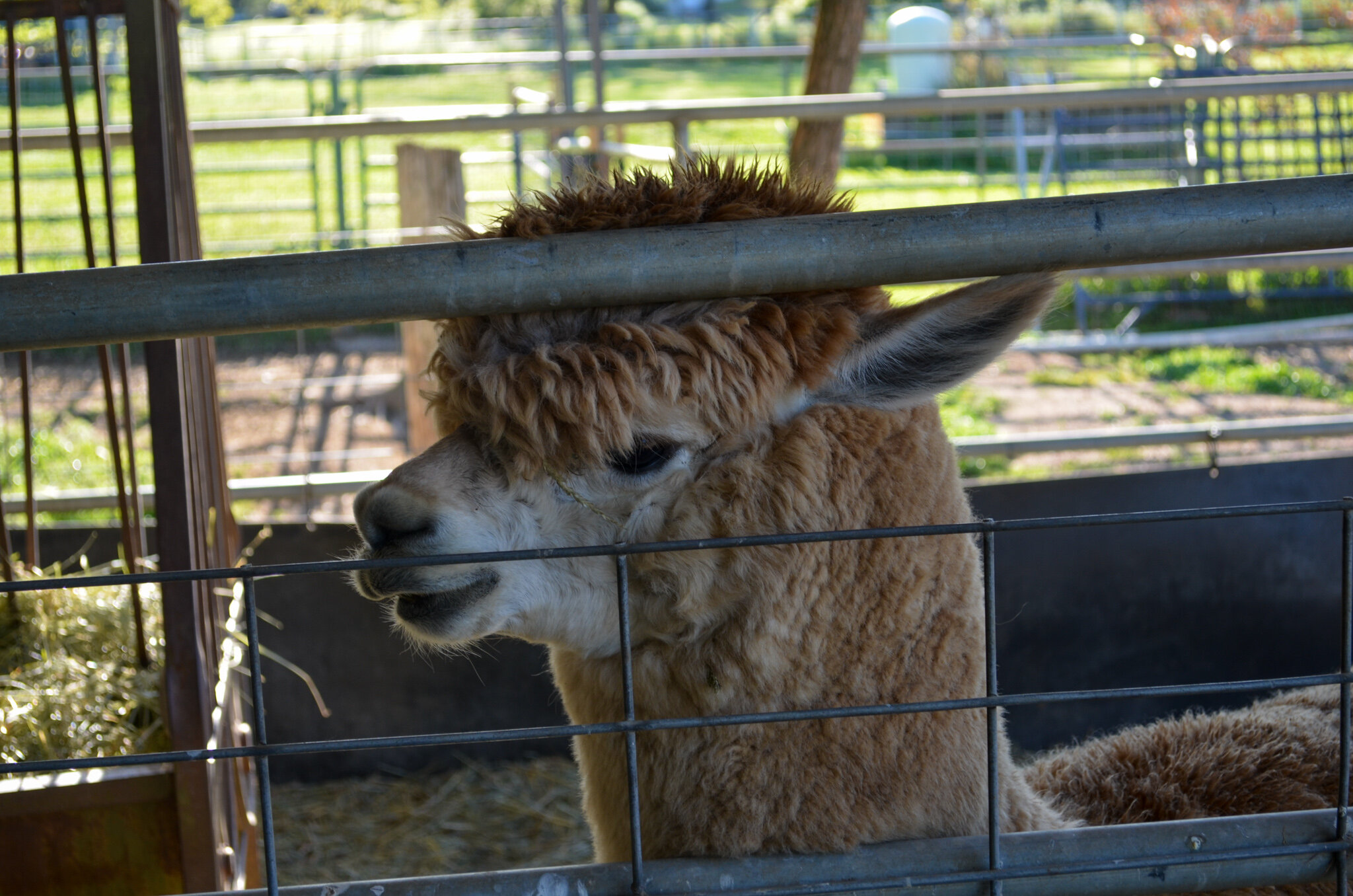 DSC_0004.jpg